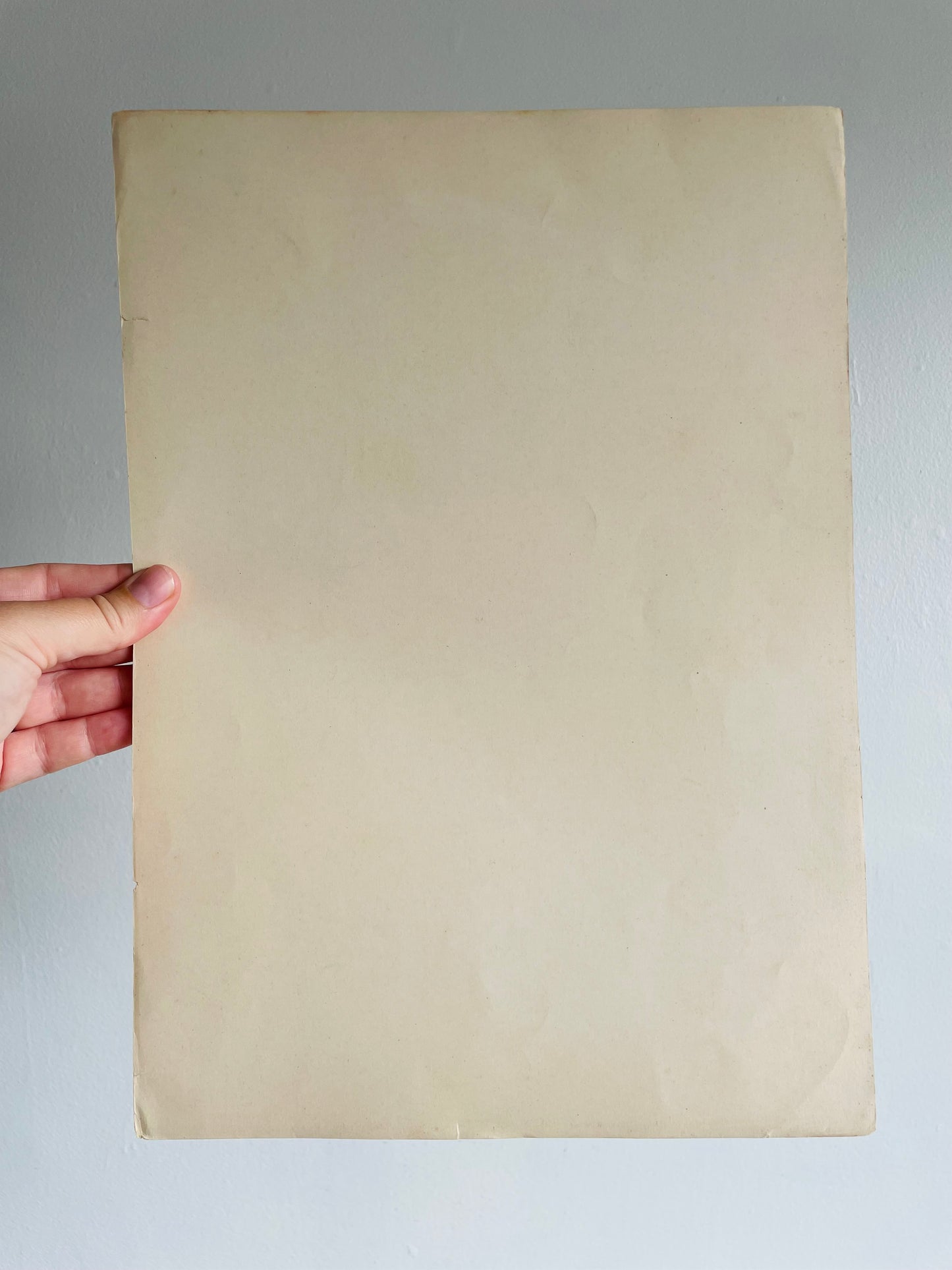 Gothic Architecture of France Page Print from Book # 2 - Found in Lisbon, Portugal