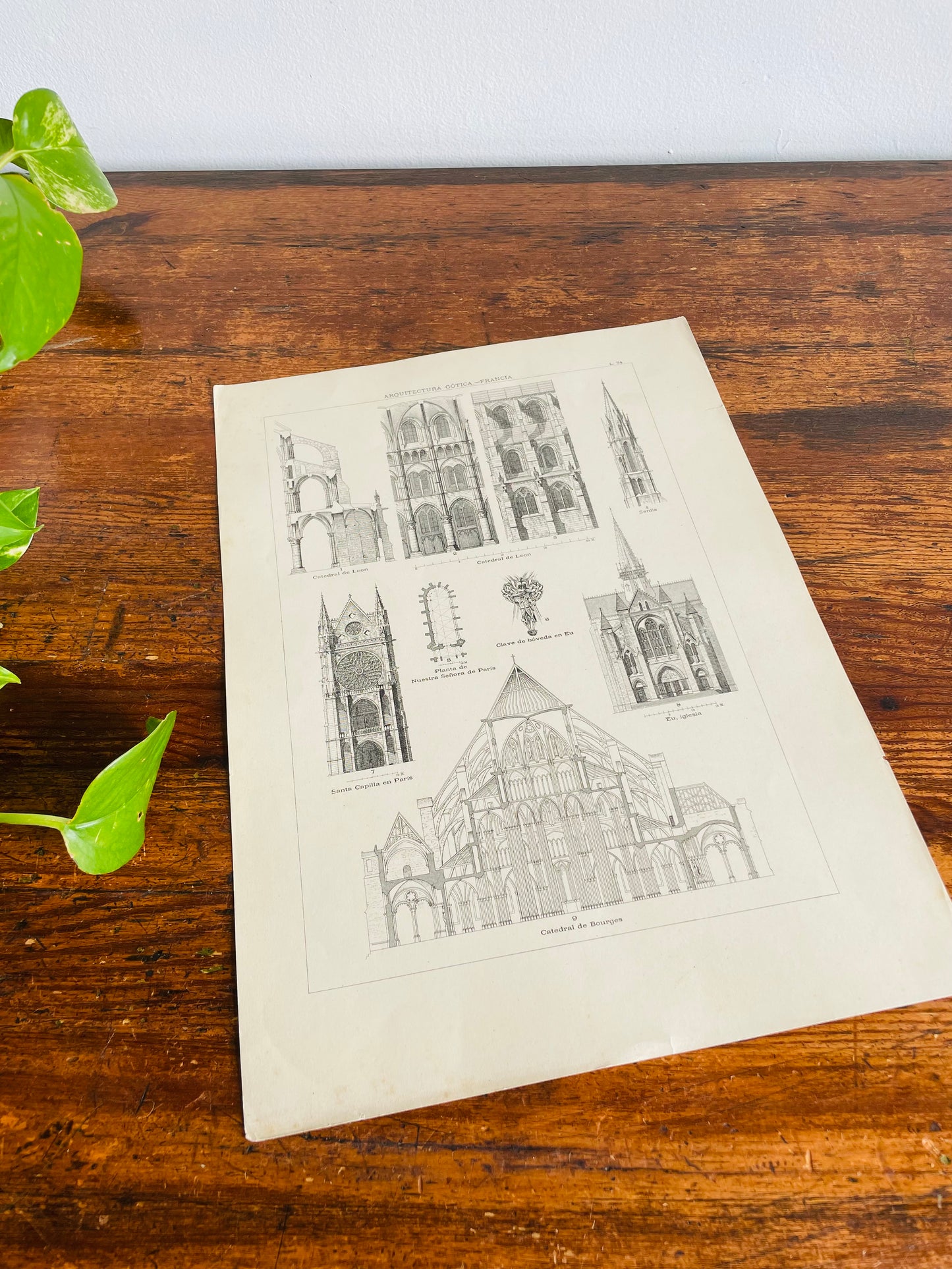 Gothic Architecture of France Page Print from Book # 2 - Found in Lisbon, Portugal