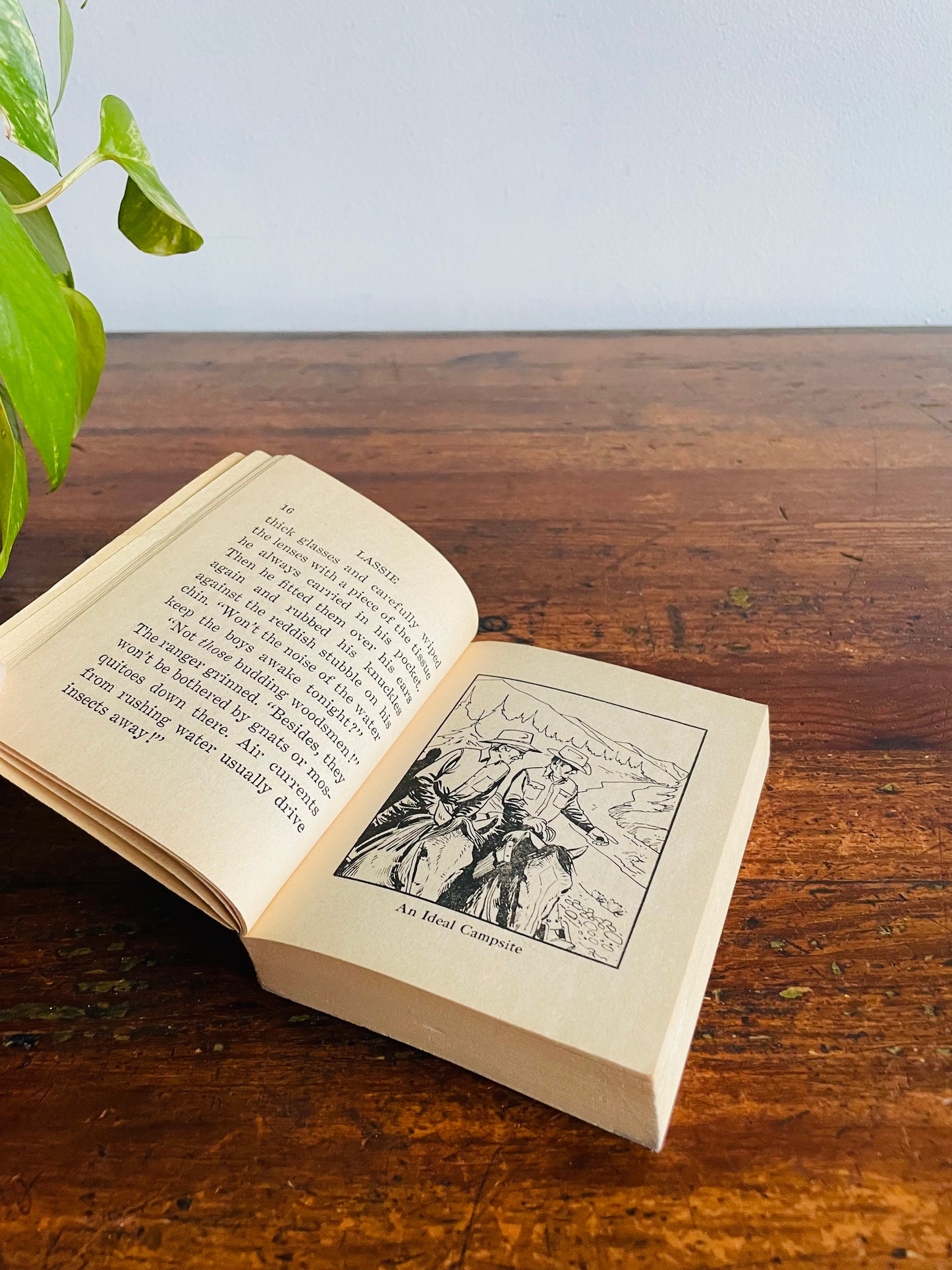 Lassie Old One-Eye by George Elrick Pocket Sized Paperback Book (1975)