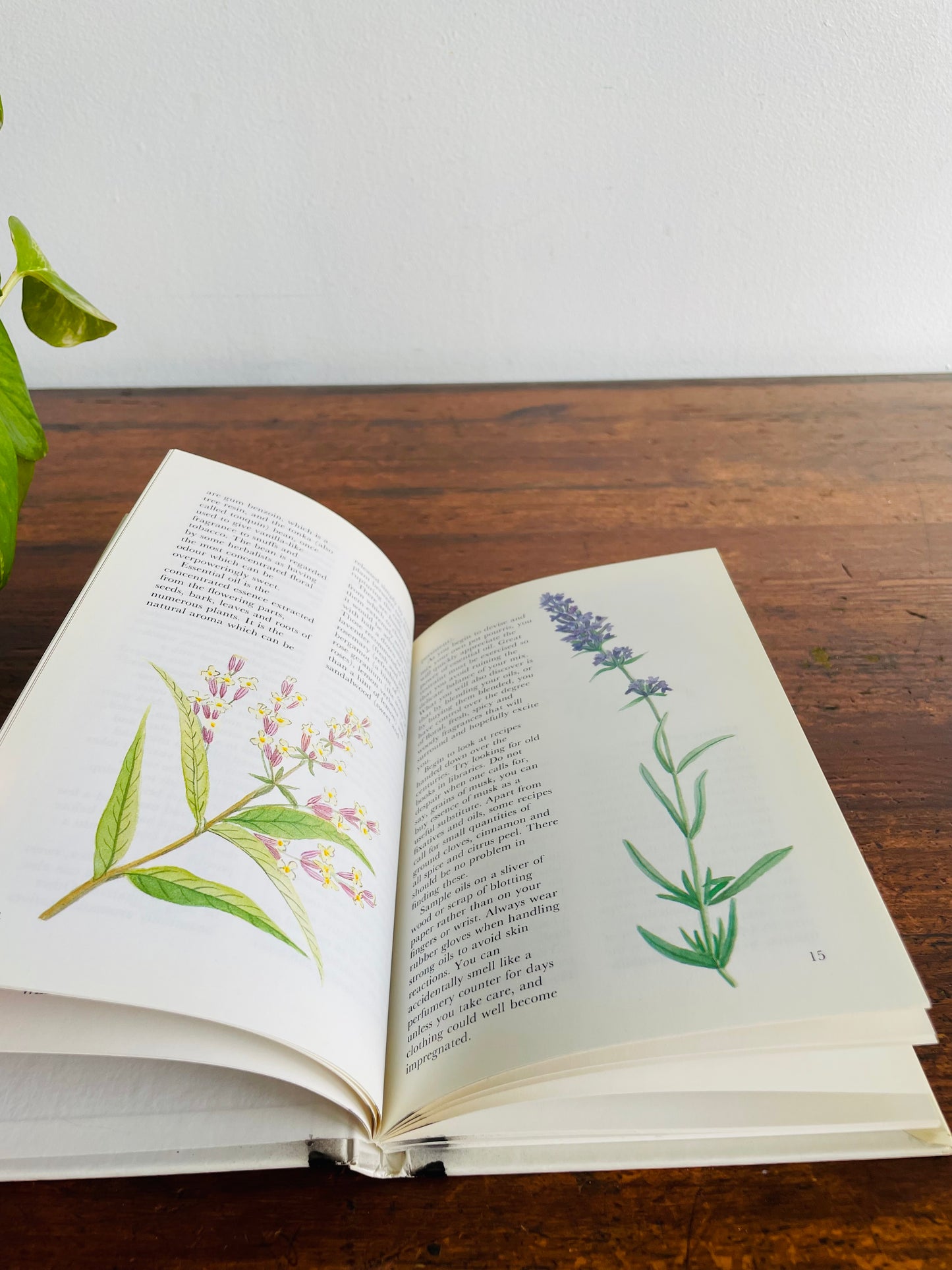 Pot Pourri and Other Scented Delights Hardcover Book by The National Trust (1987)