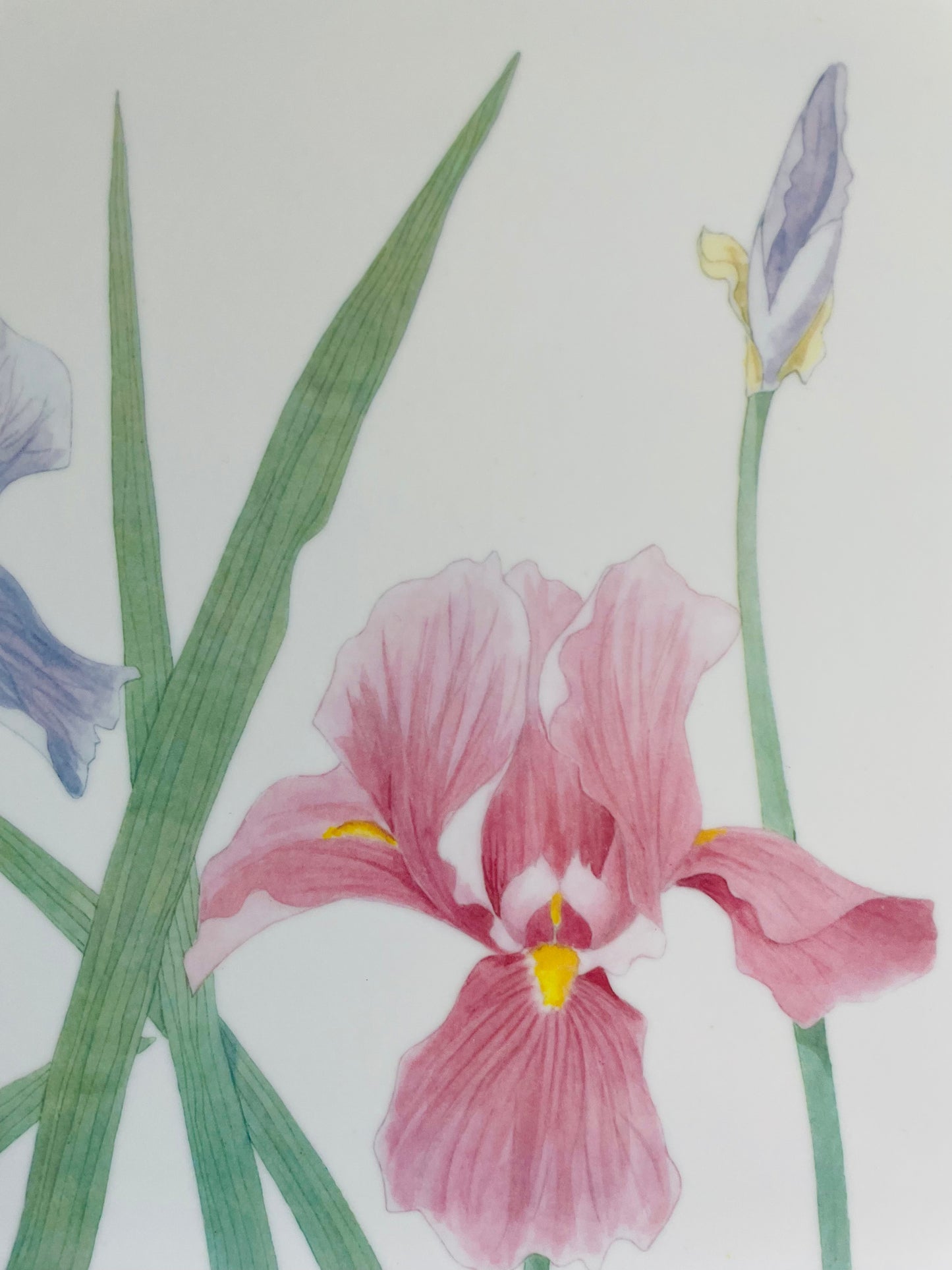 Mebel Melamine Serving or Decorative Tray with Purple & Pink Iris Flowers - Made in Italy