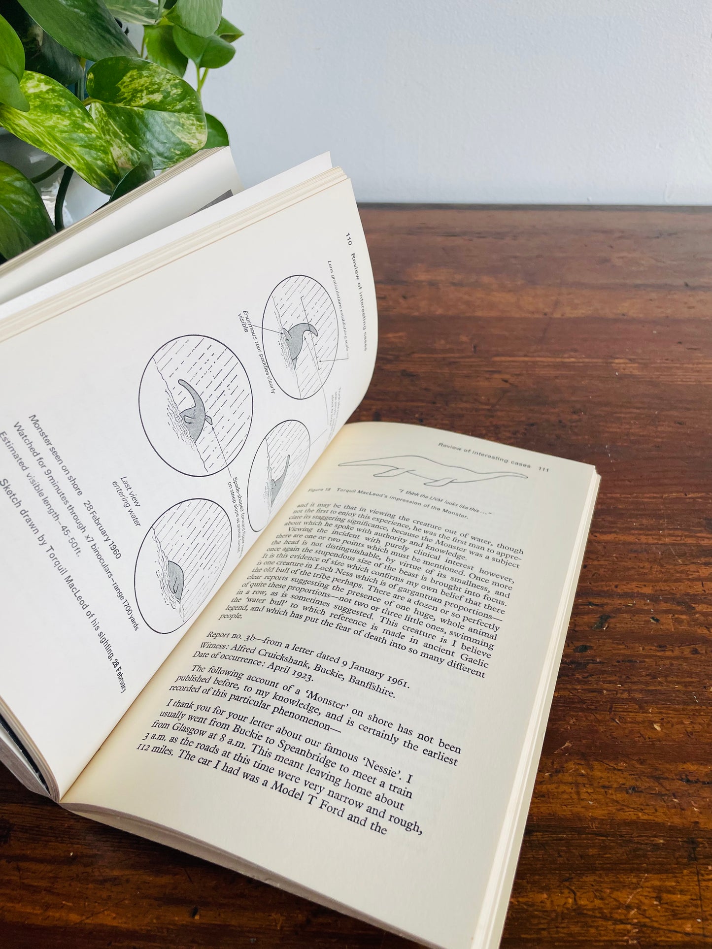 The Suspicious Book Bundle for Suspicious People - Dictionary of Earth Mysteries, Loch Ness Monster & Stonehenge Decoded - Set of 3 Books