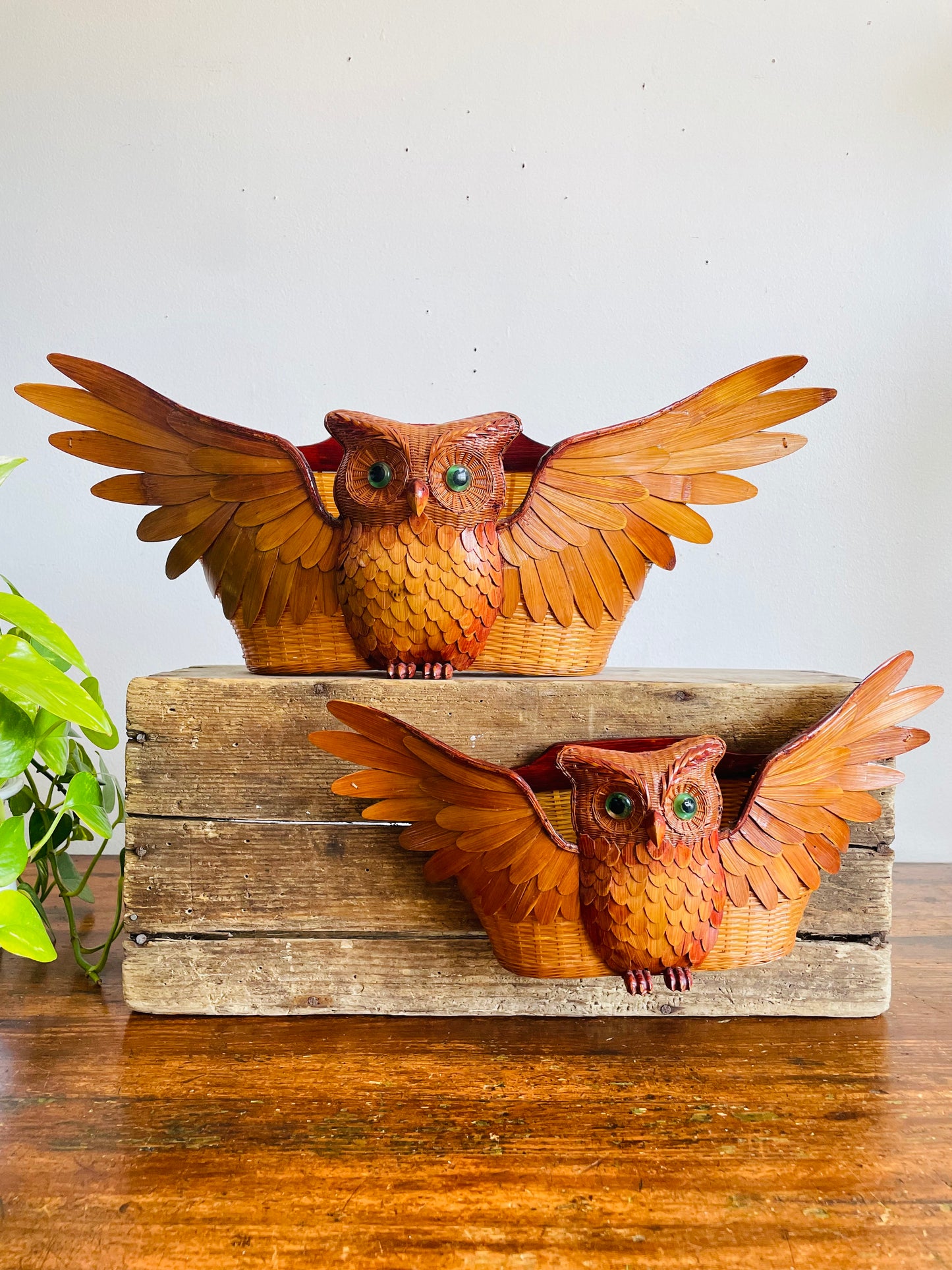 Vintage 1970s Wicker Wood Owl Wall Pocket Basket - Can Stand or Hang on Wall - 15" Wingspan - No Shipping