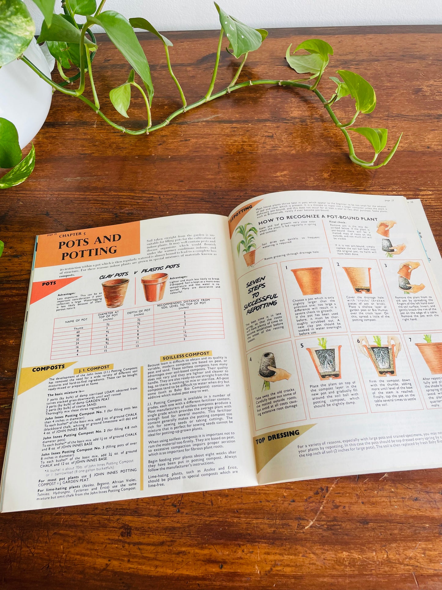 Be Your Own House Plant Expert Book by Dr. D.G. Hessayon (1975)