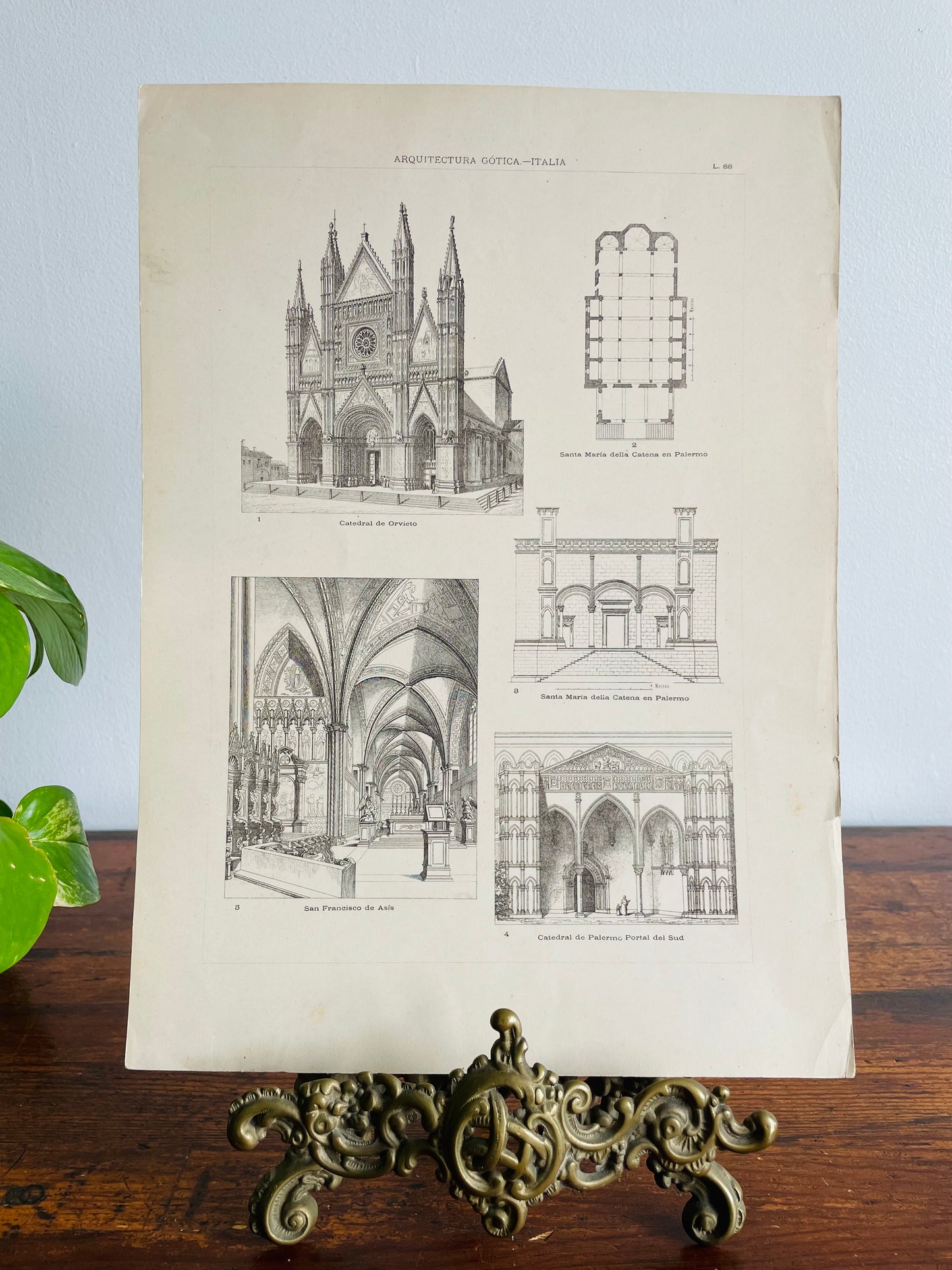 Gothic Architecture of Italy Page Print from Book - Found in Lisbon, Portugal