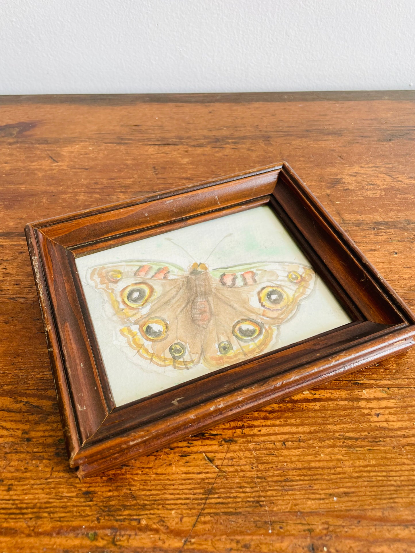 Original Art - Small Watercolour Painting of a Moth