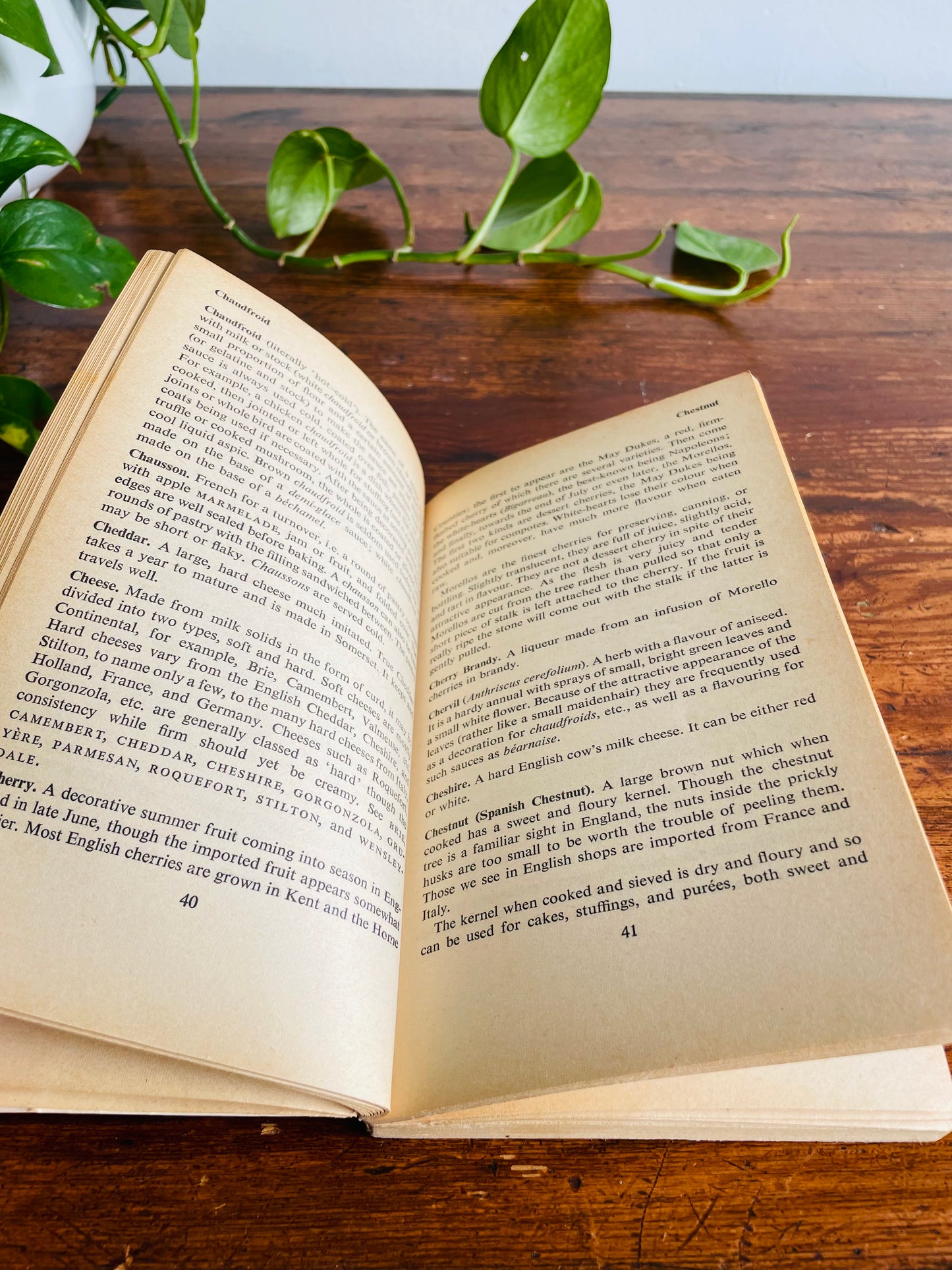 The Penguin Dictionary of Cookery Book by Rosemary Hume & Muriel Downes (1966)