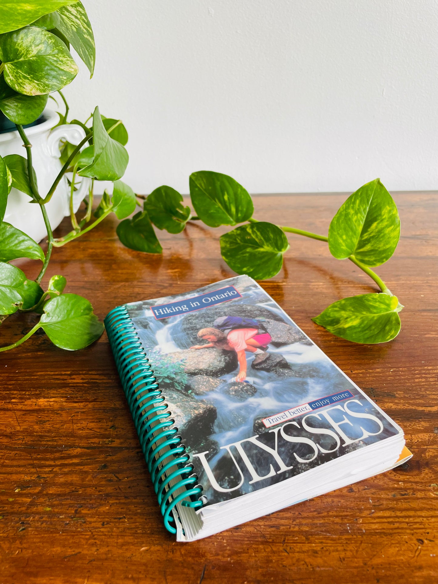 Ulysses Hiking in Ontario Spiral-Bound Guidebook by Tracey Arial (2001)
