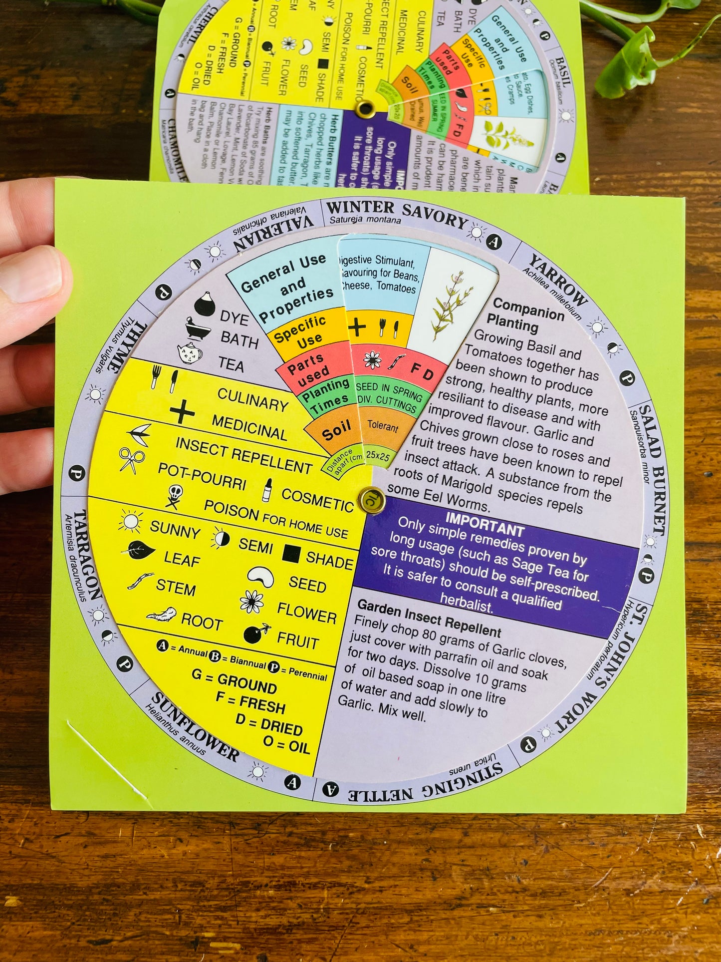 Herb Decoder by Dynamo House Melbourne Australia (1998) - 36 Herbs & Rotating Wheels with Information