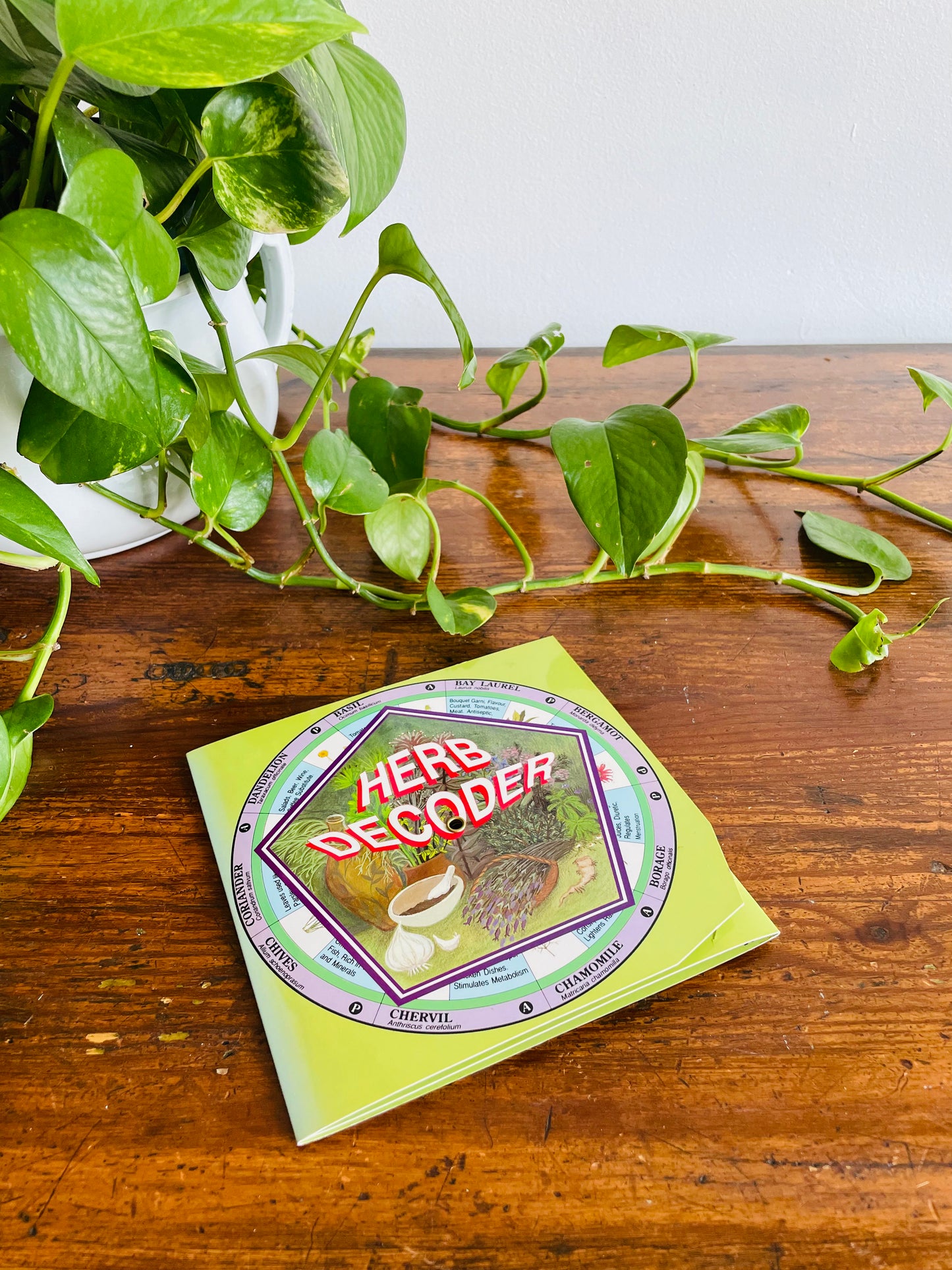 Herb Decoder by Dynamo House Melbourne Australia (1998) - 36 Herbs & Rotating Wheels with Information