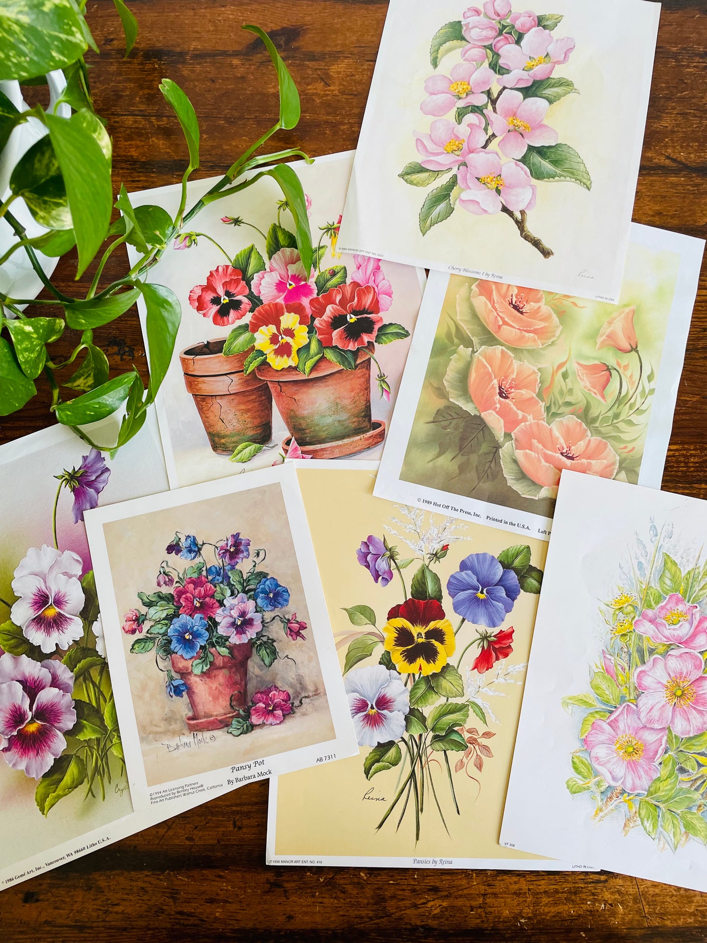Pansies by Crystal Skelley (1986) Geme Art Inc. - Floral Lithograph Print Ready for Framing!
