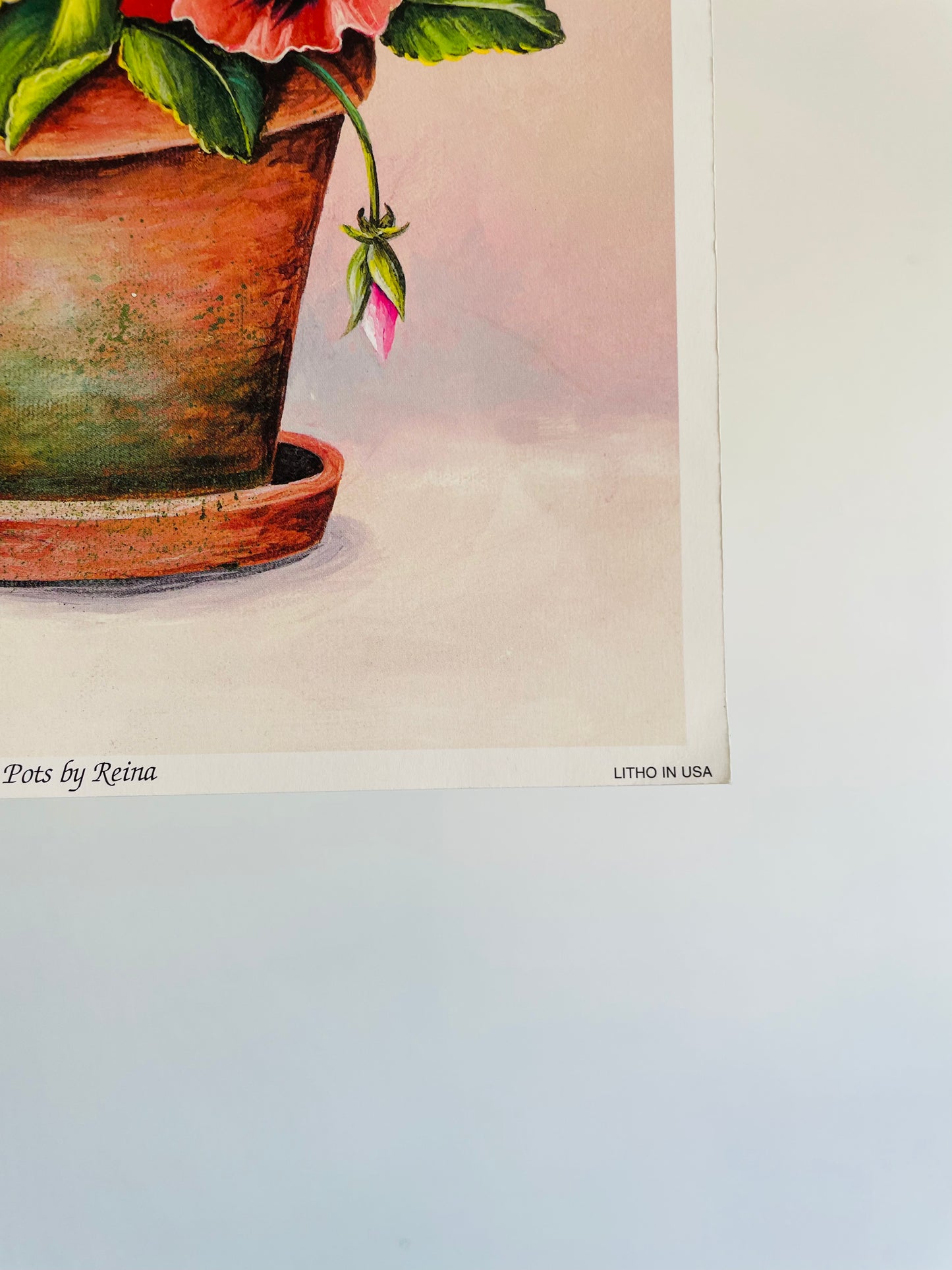 Pink-Red Pansies in Pots by Reina (2000) Manor Art - Floral Lithograph Print Ready for Framing!