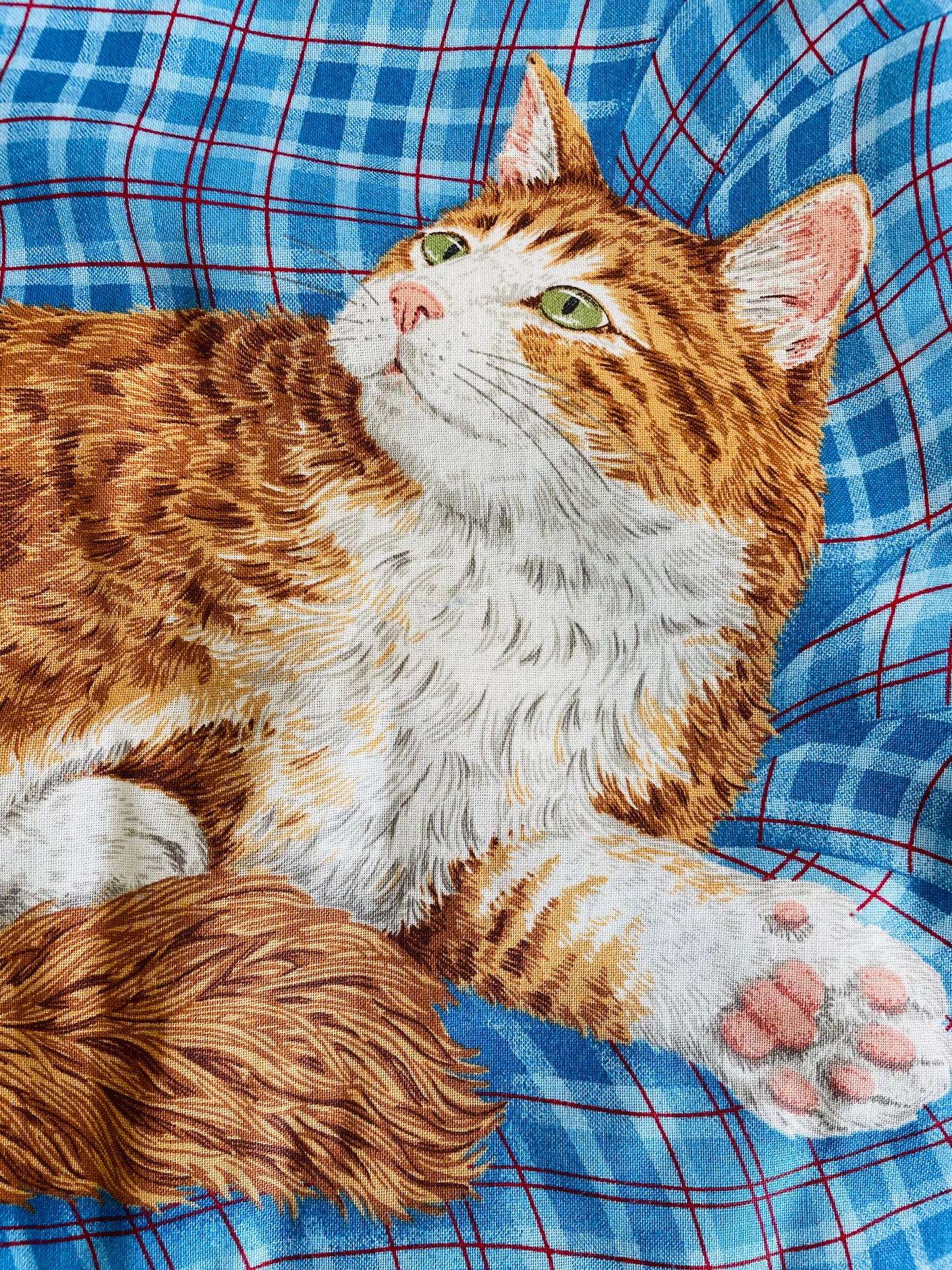 Orange & White Cat Pillowcase Cushion Cover