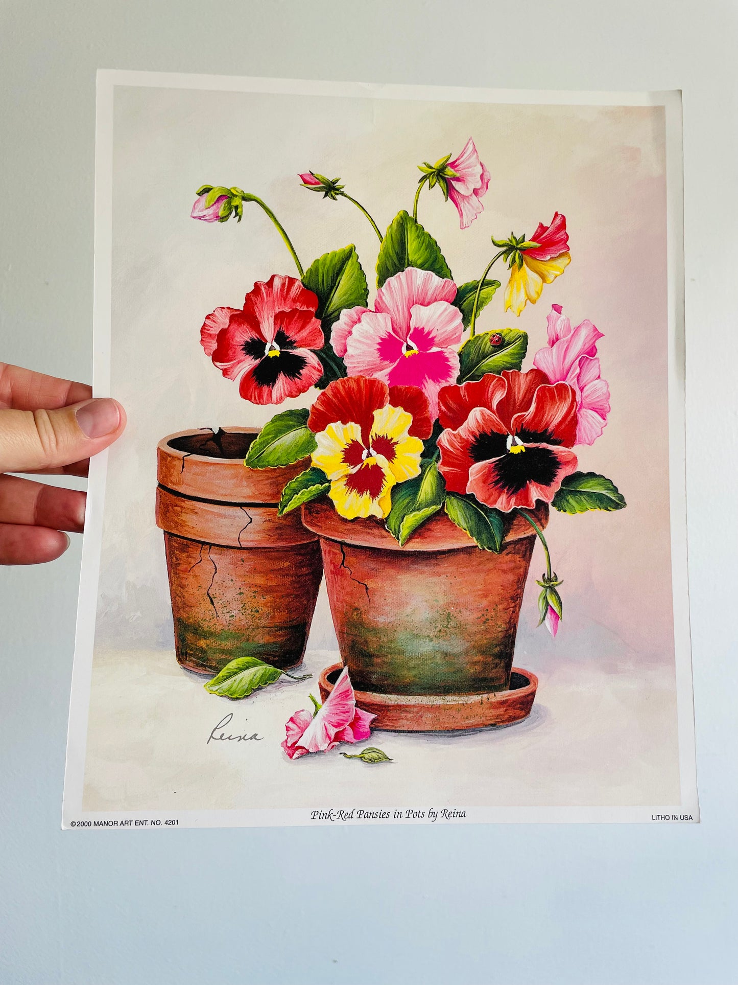 Pink-Red Pansies in Pots by Reina (2000) Manor Art - Floral Lithograph Print Ready for Framing!