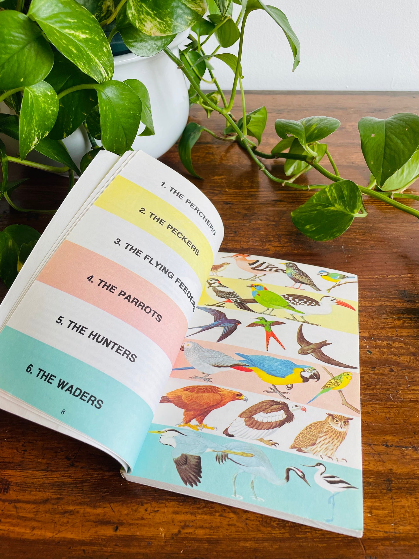 Know About Birds Book by Frederick Edwards (1975)
