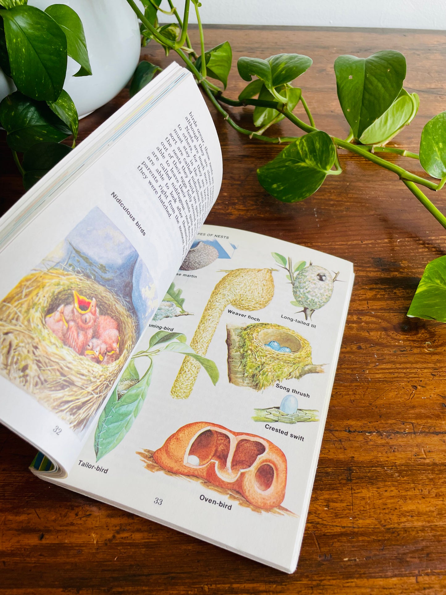 Know About Birds Book by Frederick Edwards (1975)