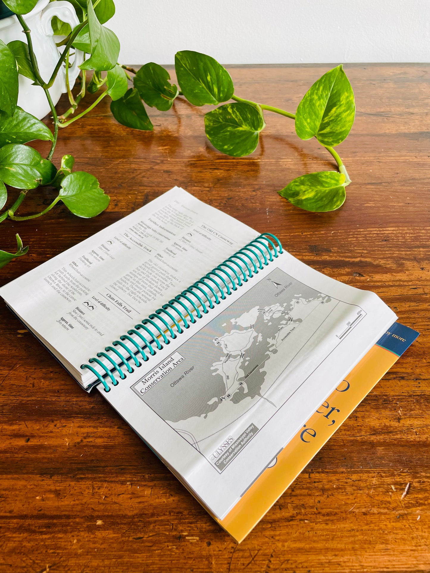 Ulysses Hiking in Ontario Spiral-Bound Guidebook by Tracey Arial (2001)