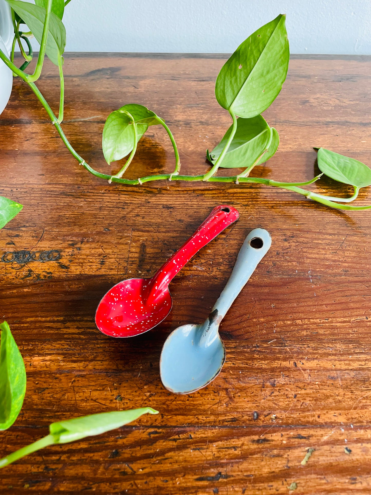 Graniteware Enamelware Set of Two Spoons - Red with White Flecks & Robin Egg Blue