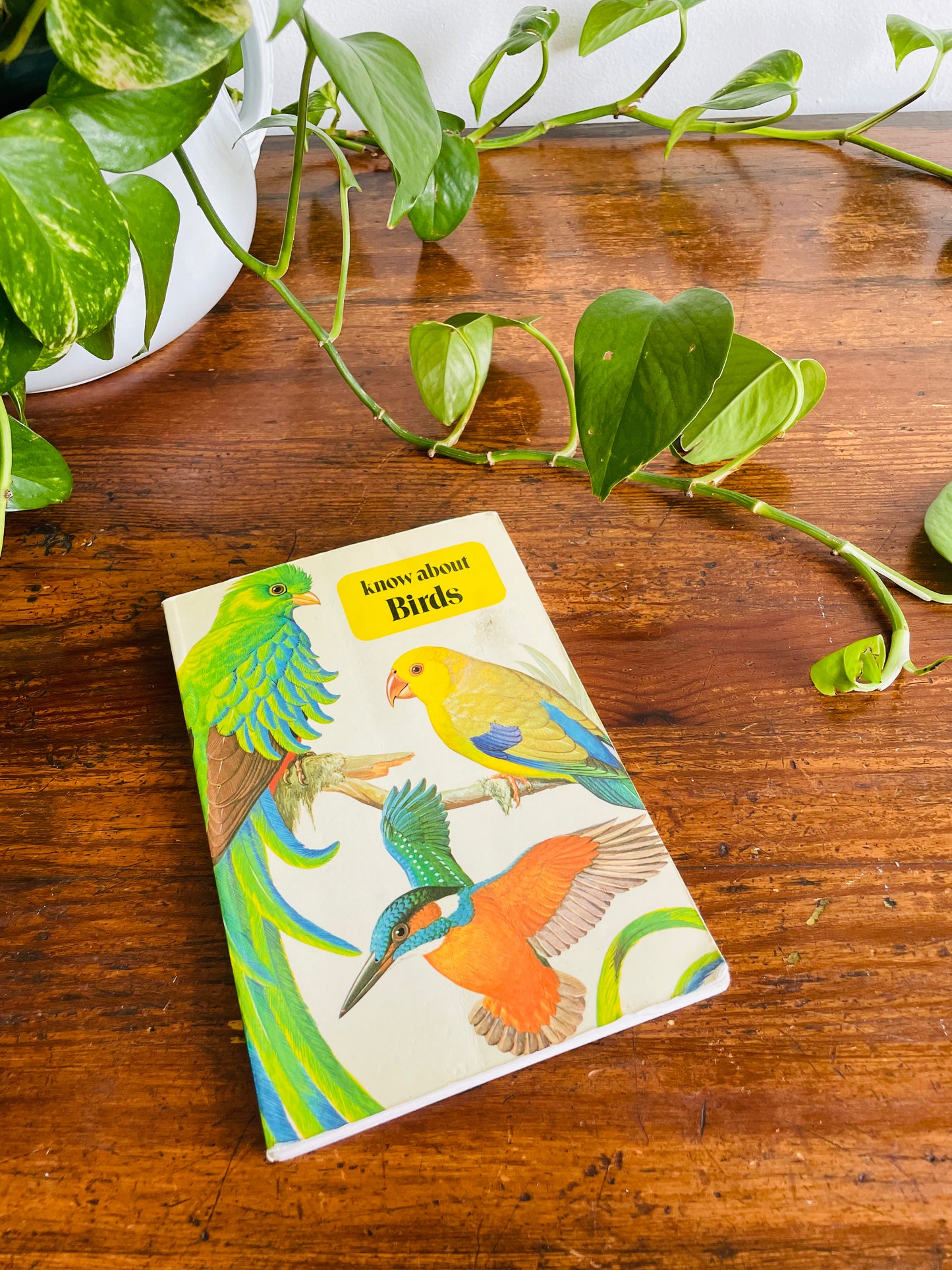Know About Birds Book by Frederick Edwards (1975)