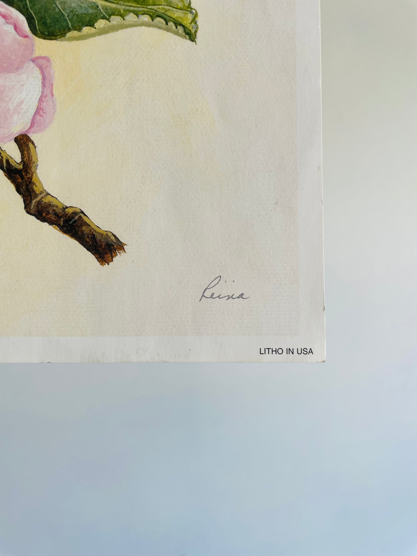 Cherry Blossoms I by Reina (2004) Manor Art - Floral Lithograph Print Ready for Framing!