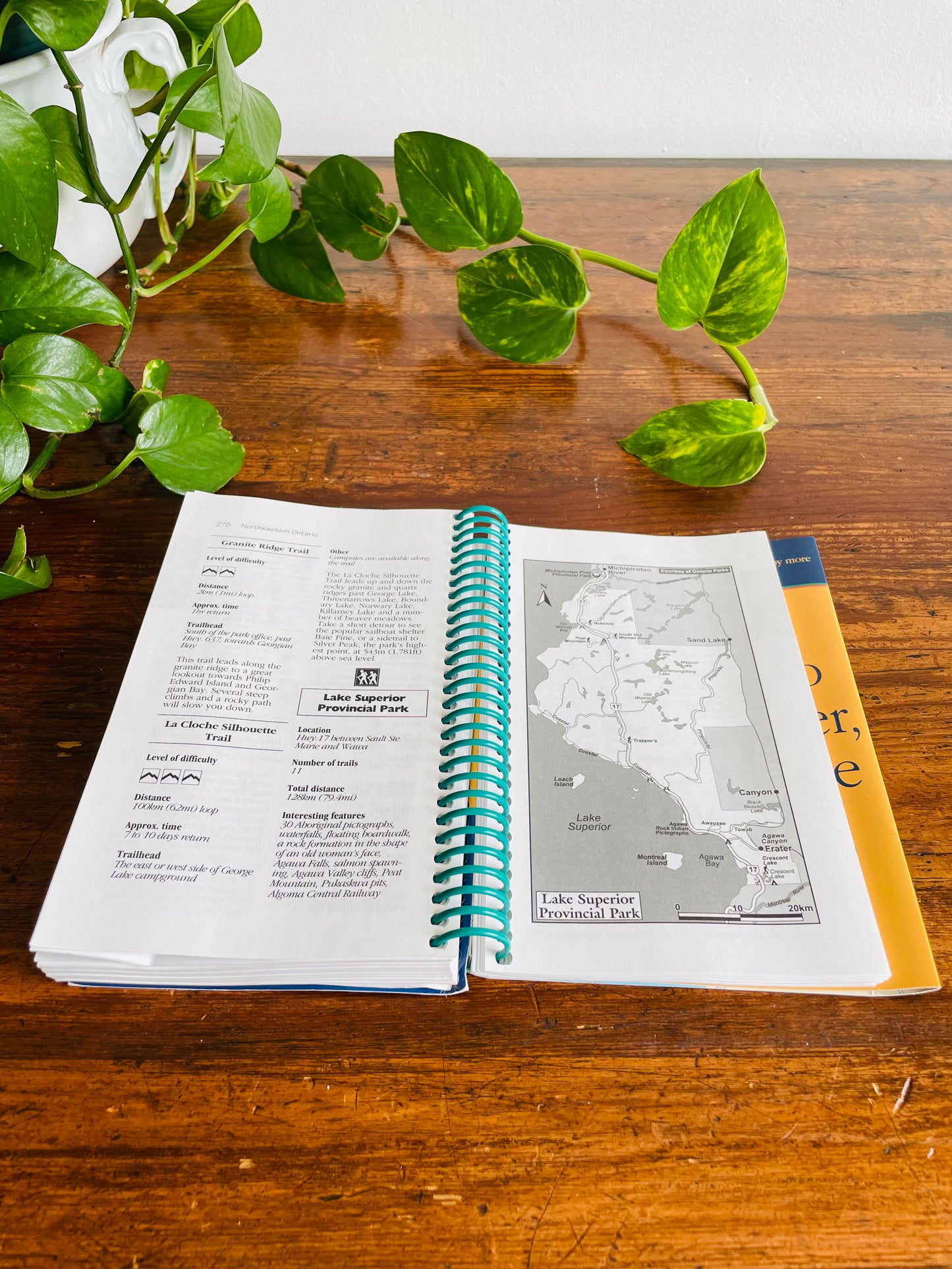 Ulysses Hiking in Ontario Spiral-Bound Guidebook by Tracey Arial (2001)
