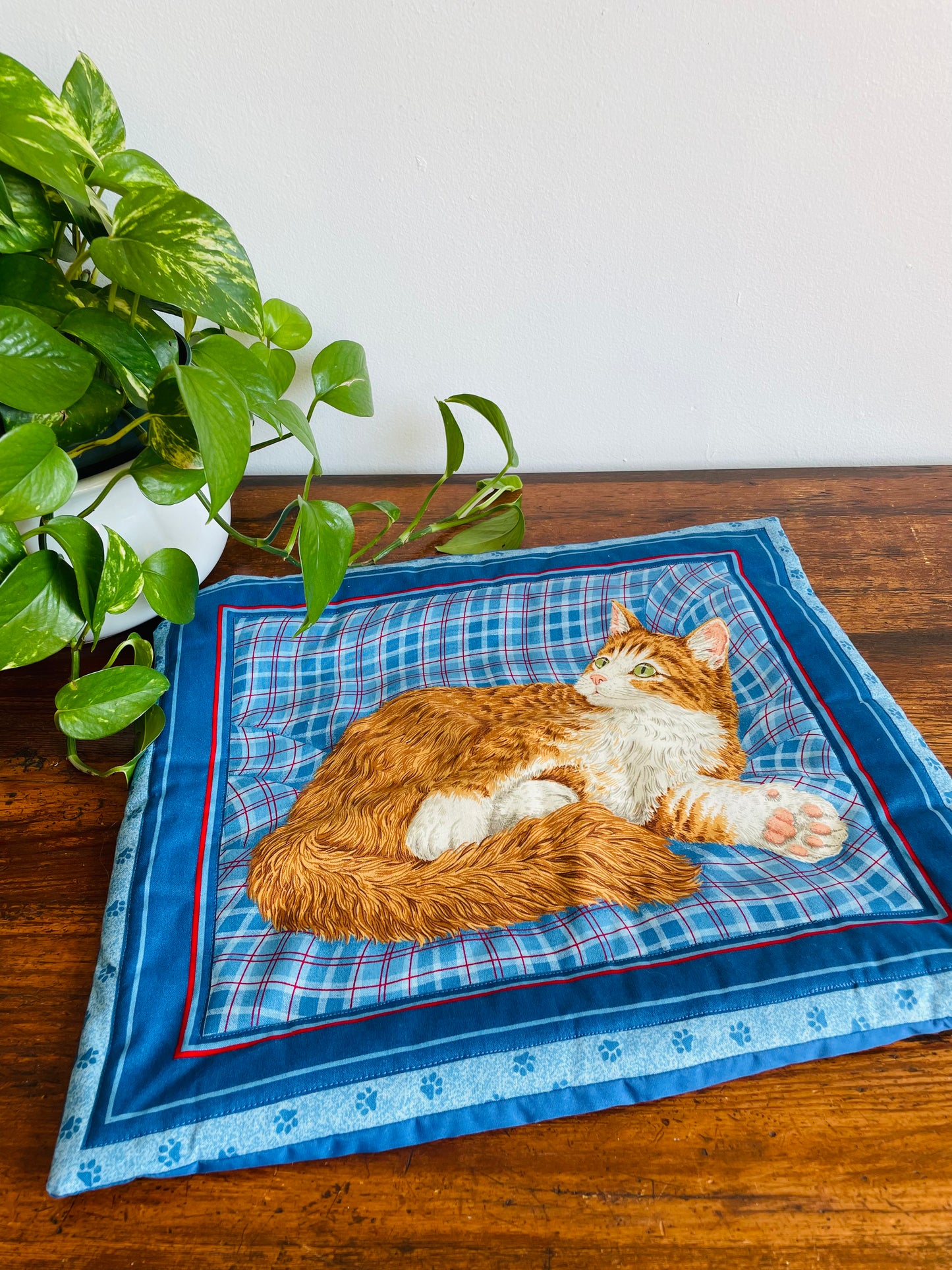 Orange & White Cat Pillowcase Cushion Cover