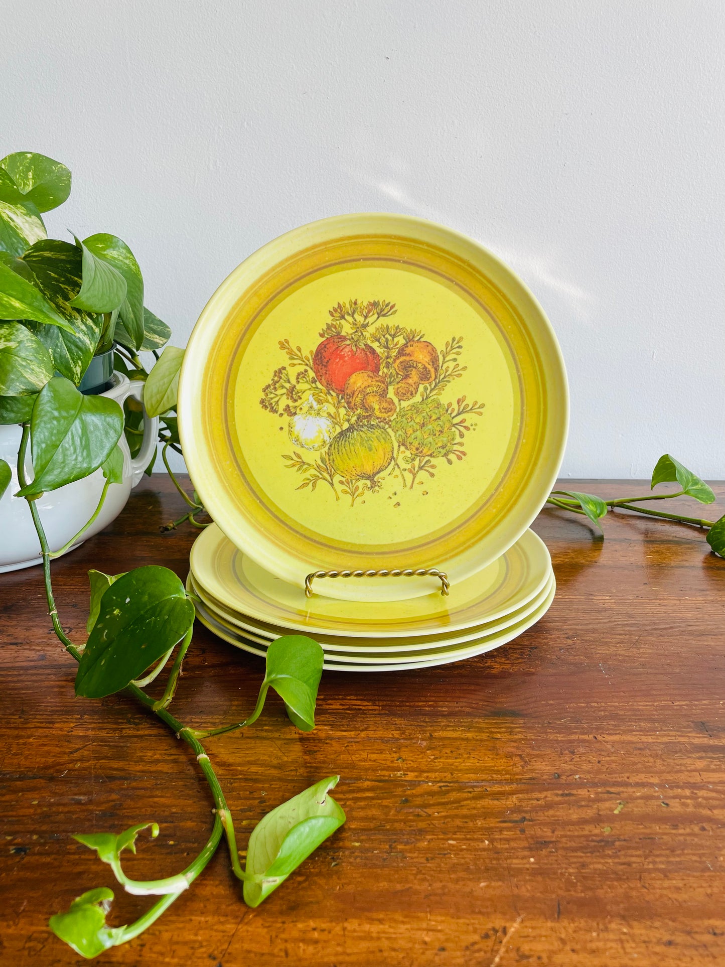 Lexington Melamine Plates with Vegetables Graphic - Set of 5 - Made in USA