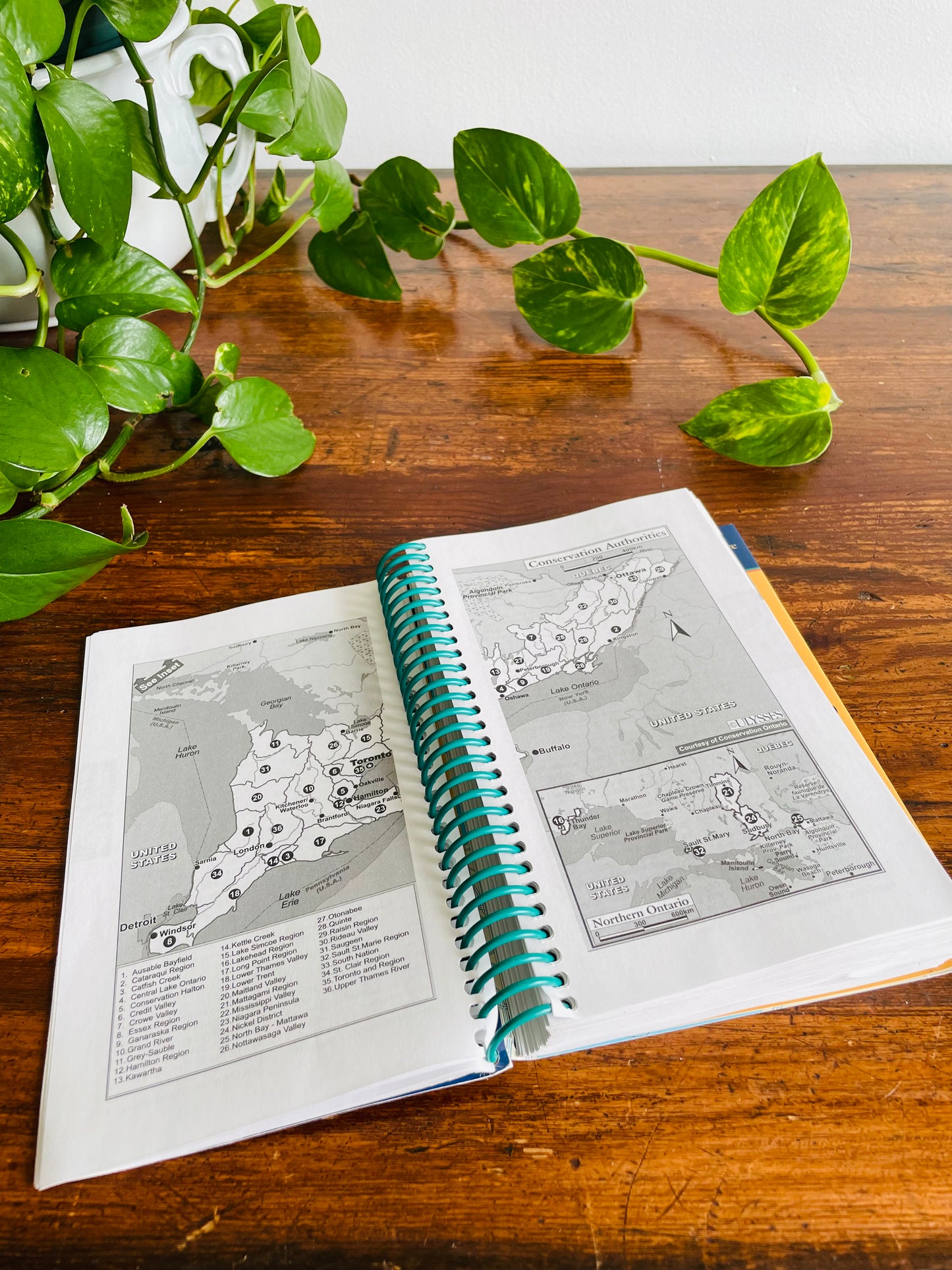 Ulysses Hiking in Ontario Spiral-Bound Guidebook by Tracey Arial (2001)