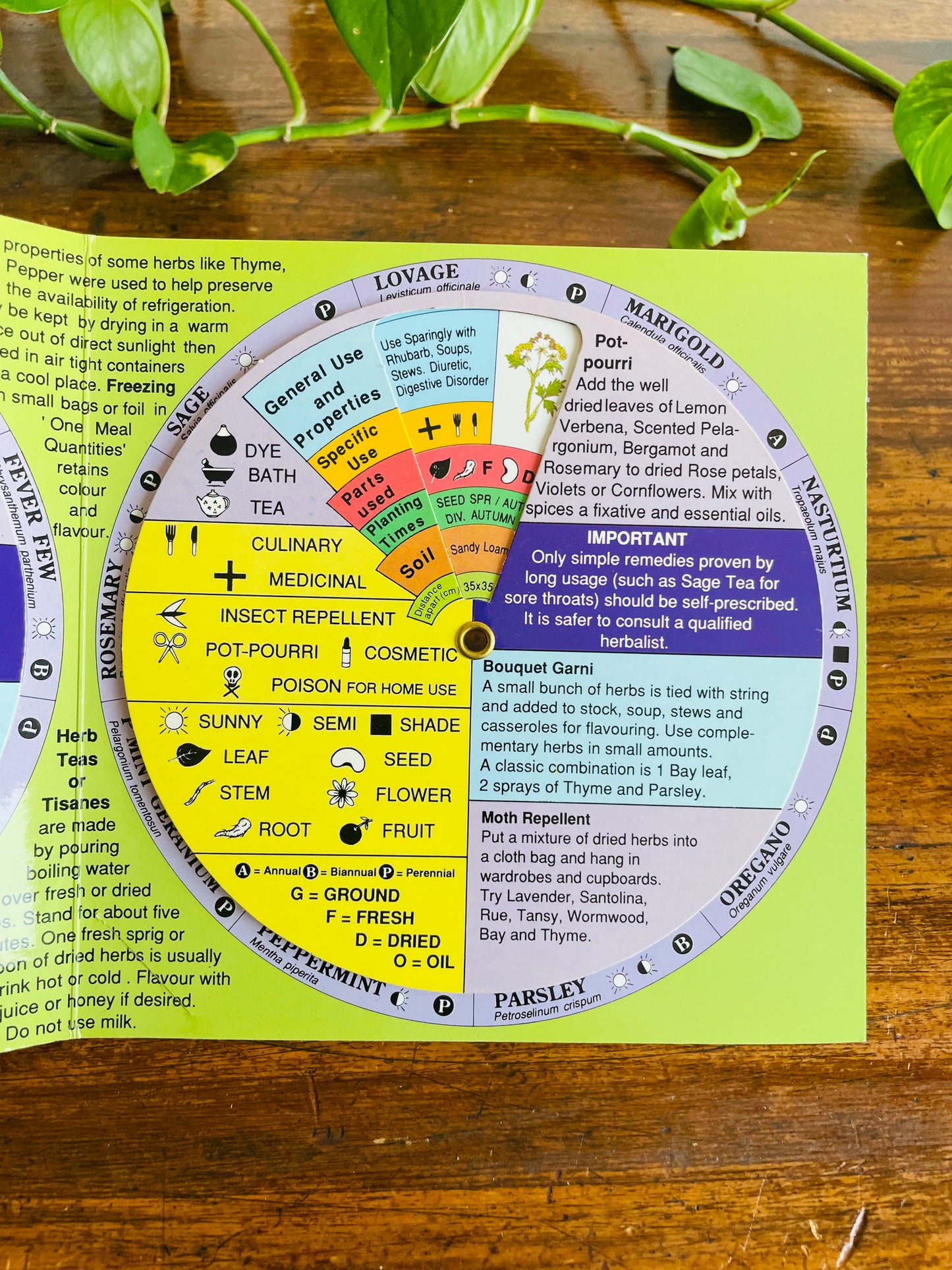 Herb Decoder by Dynamo House Melbourne Australia (1998) - 36 Herbs & Rotating Wheels with Information