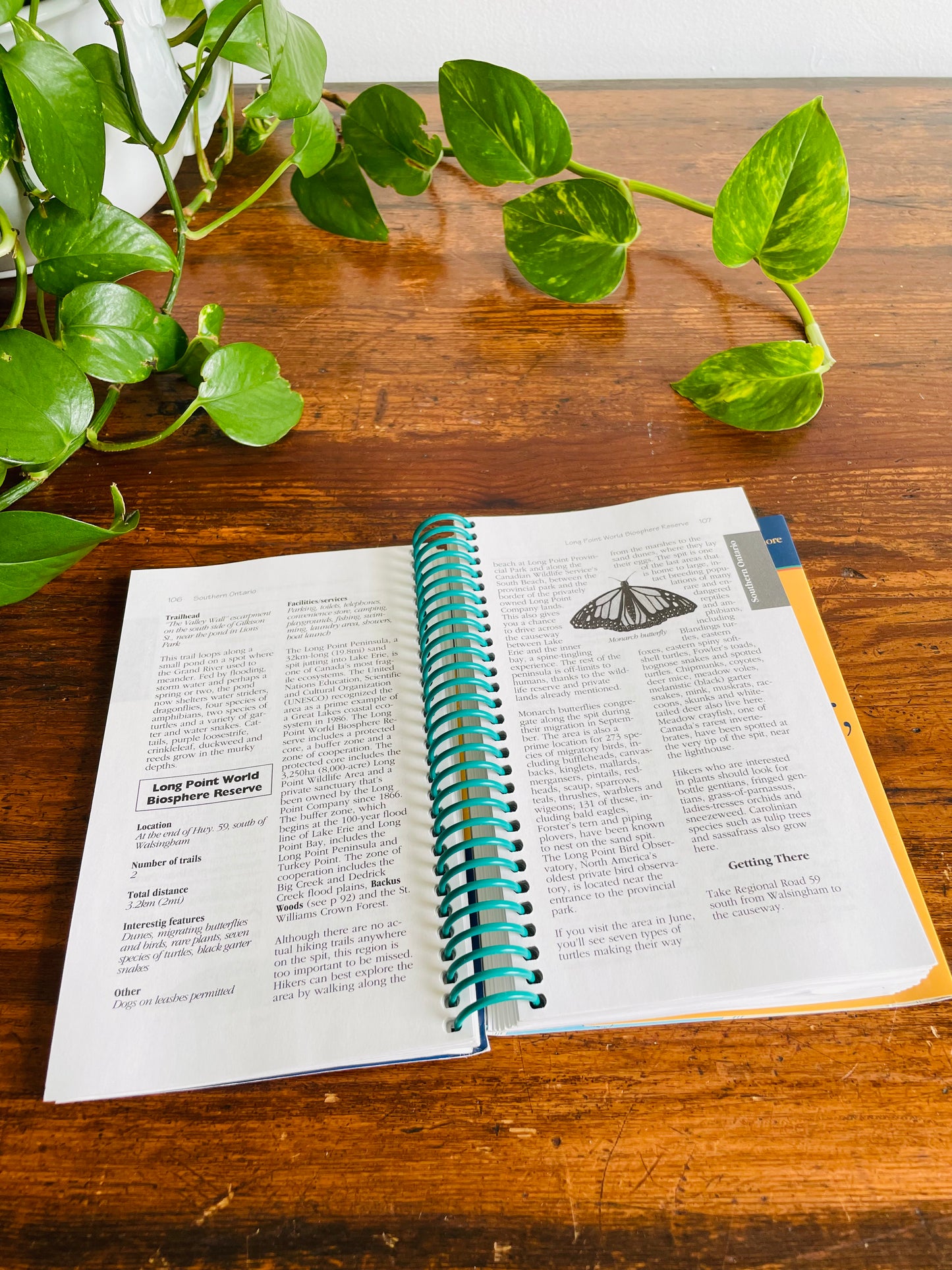 Ulysses Hiking in Ontario Spiral-Bound Guidebook by Tracey Arial (2001)