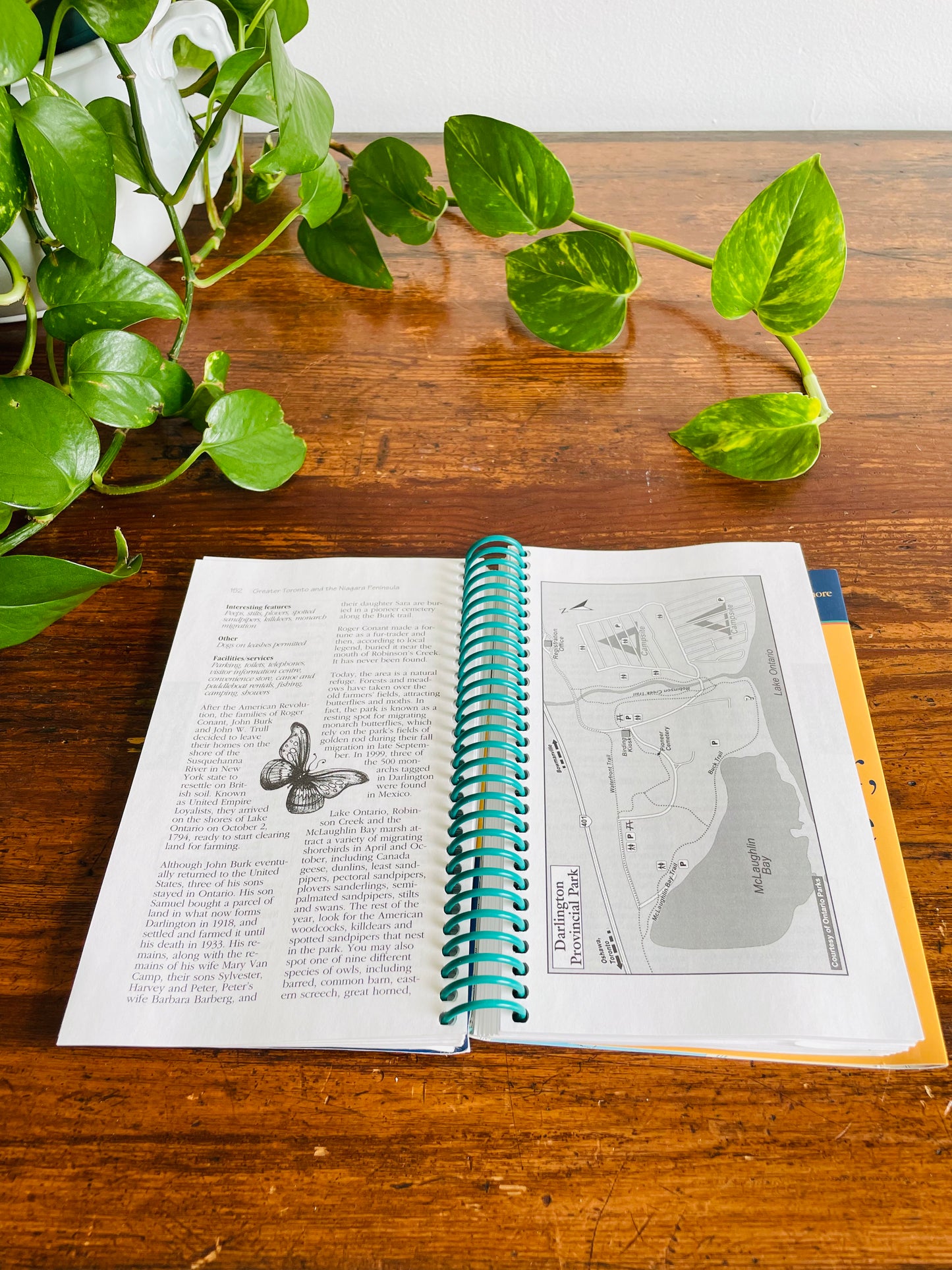 Ulysses Hiking in Ontario Spiral-Bound Guidebook by Tracey Arial (2001)