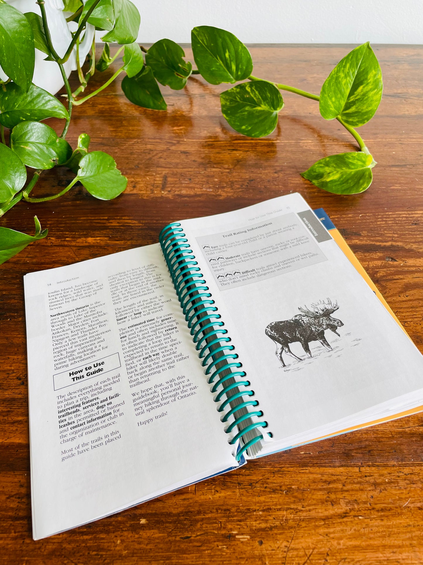 Ulysses Hiking in Ontario Spiral-Bound Guidebook by Tracey Arial (2001)