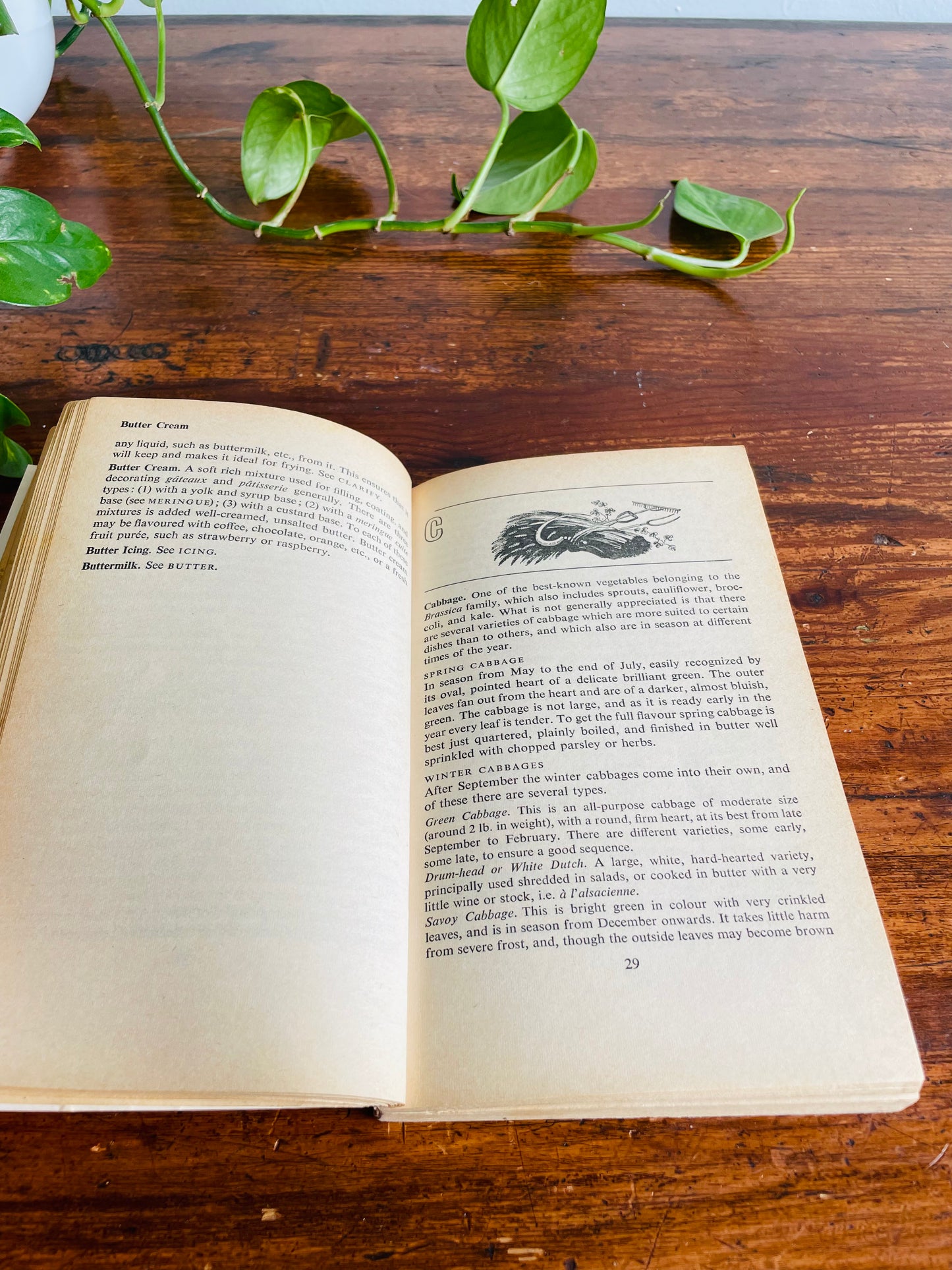 The Penguin Dictionary of Cookery Book by Rosemary Hume & Muriel Downes (1966)