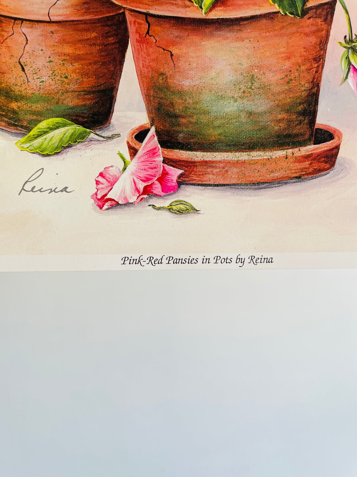 Pink-Red Pansies in Pots by Reina (2000) Manor Art - Floral Lithograph Print Ready for Framing!