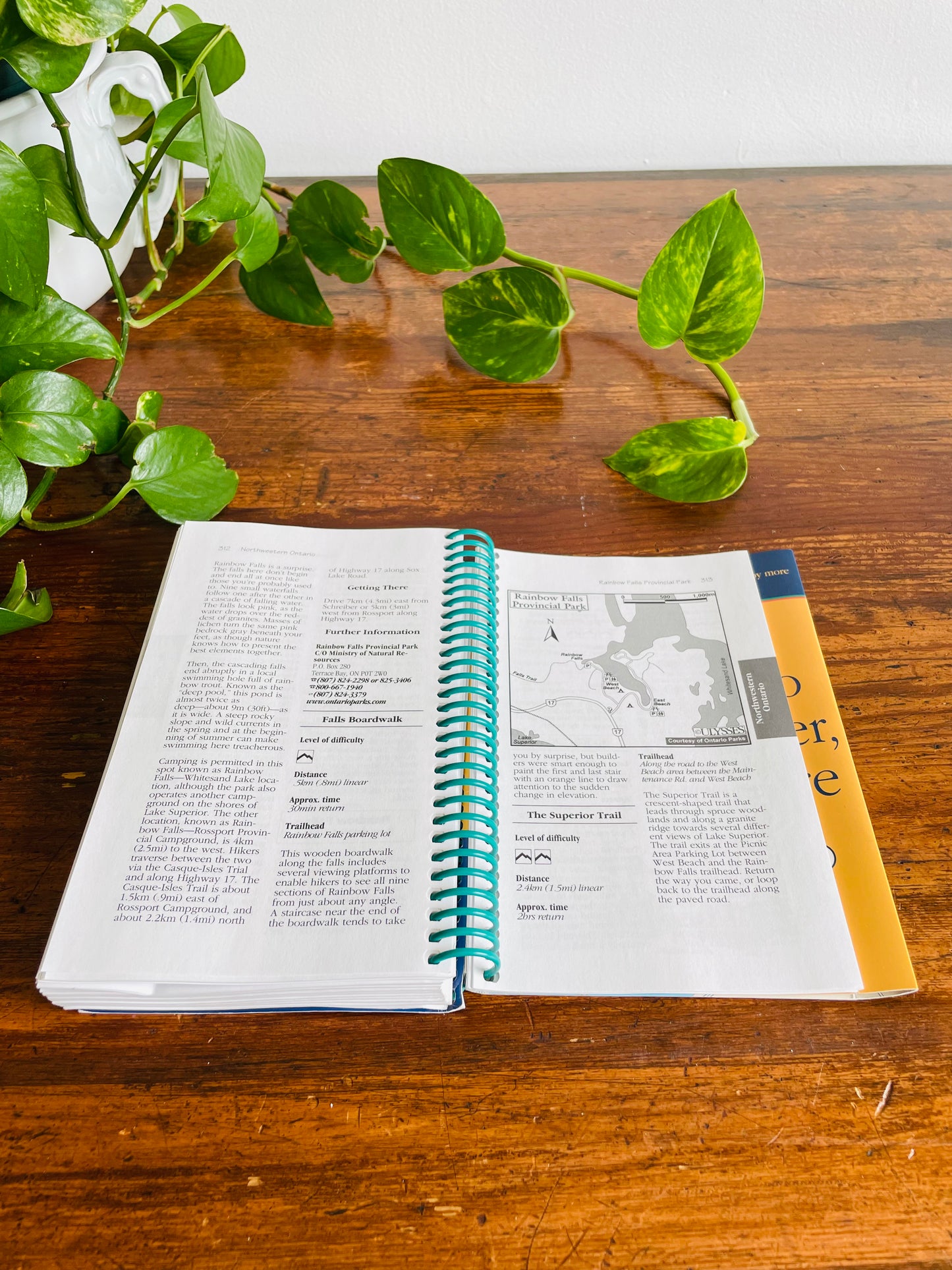 Ulysses Hiking in Ontario Spiral-Bound Guidebook by Tracey Arial (2001)