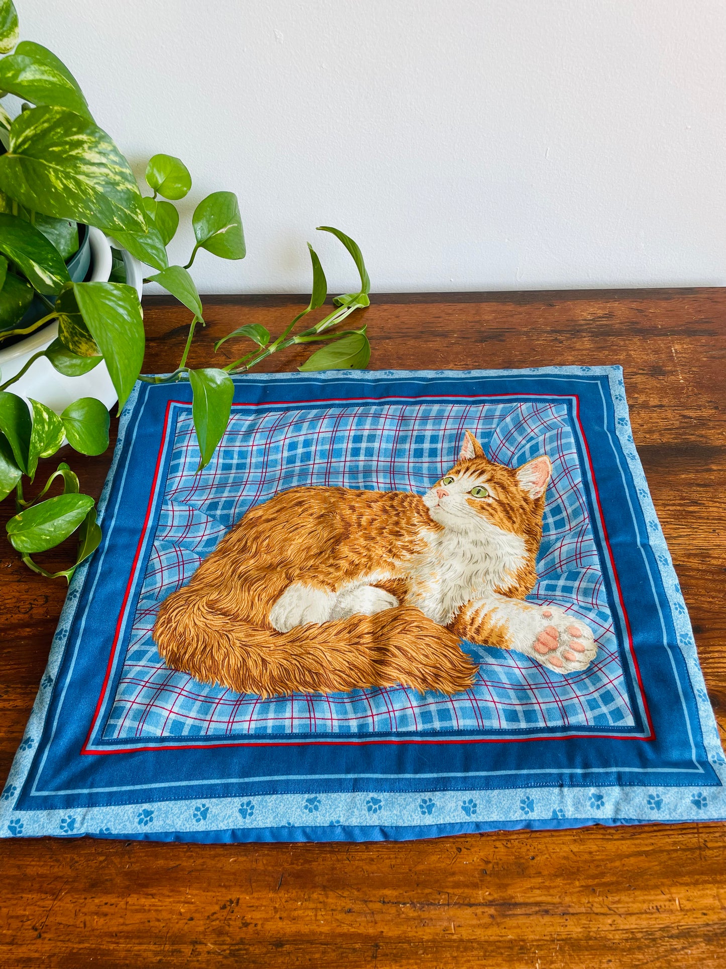 Orange & White Cat Pillowcase Cushion Cover