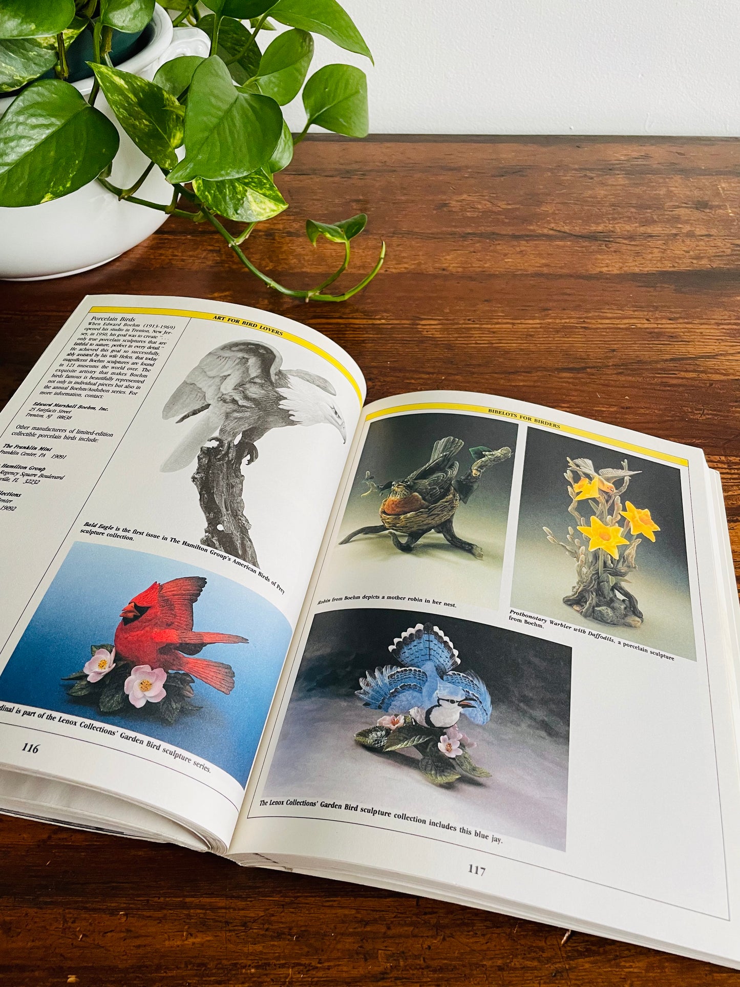 The Birder's Catalogue: The Sourcebook for Birding Paraphernalia (1989)