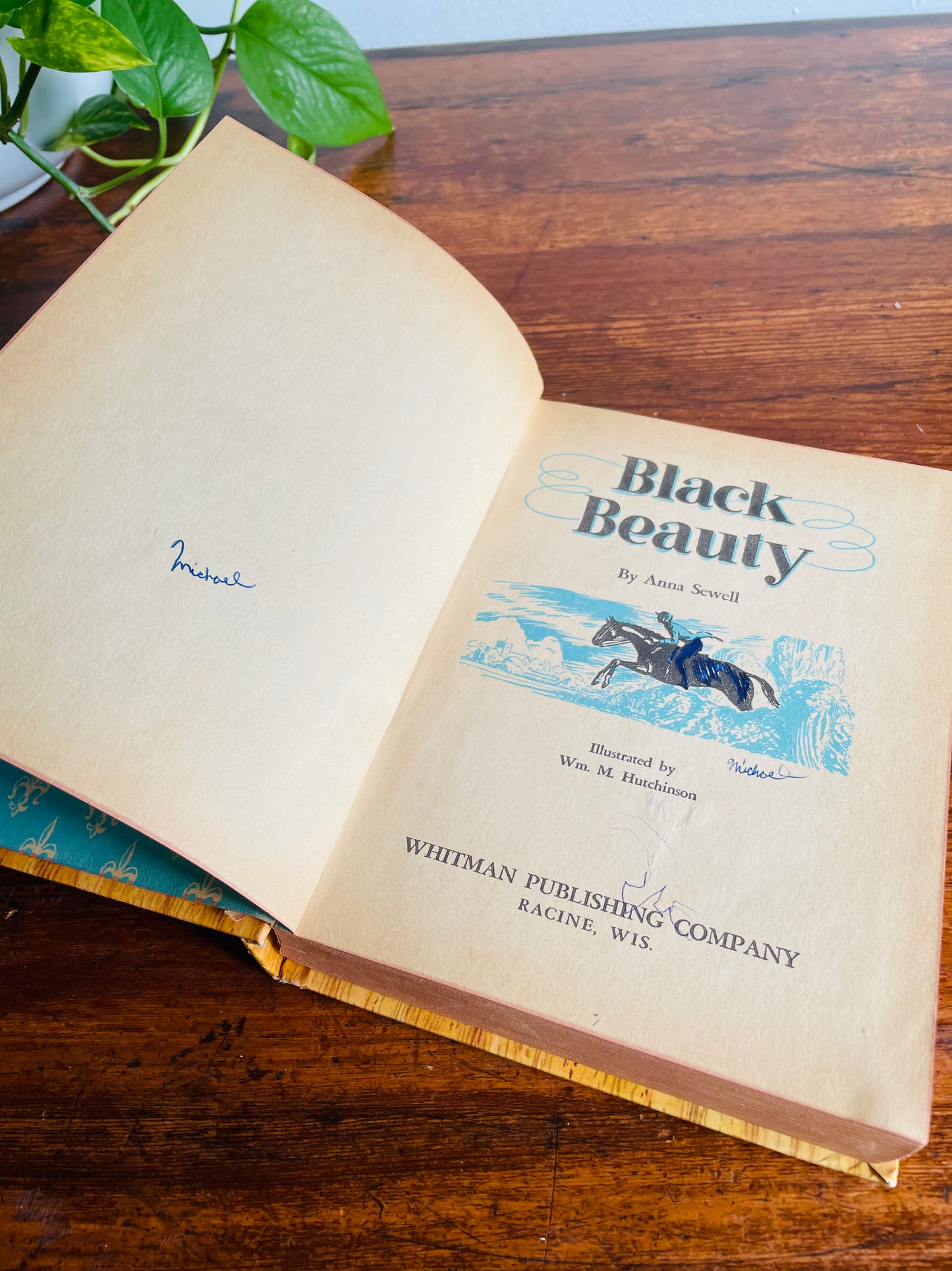 Young Adult Stories with Animals Vintage Book Bundle - Black Beauty, Big Brother