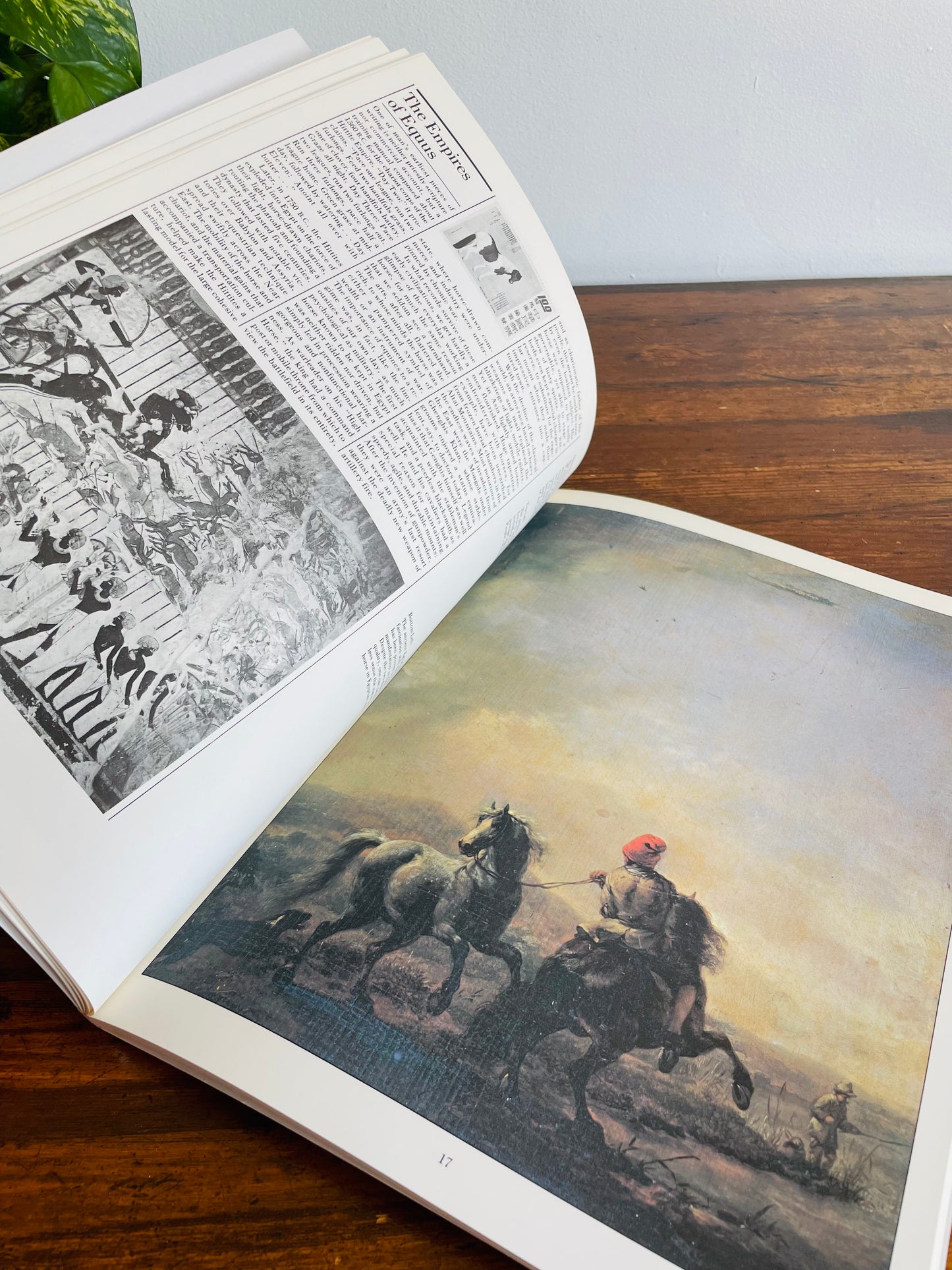 The Illustrated Horse Book by Jean-Claude Suares & Charles Stephen (1979)