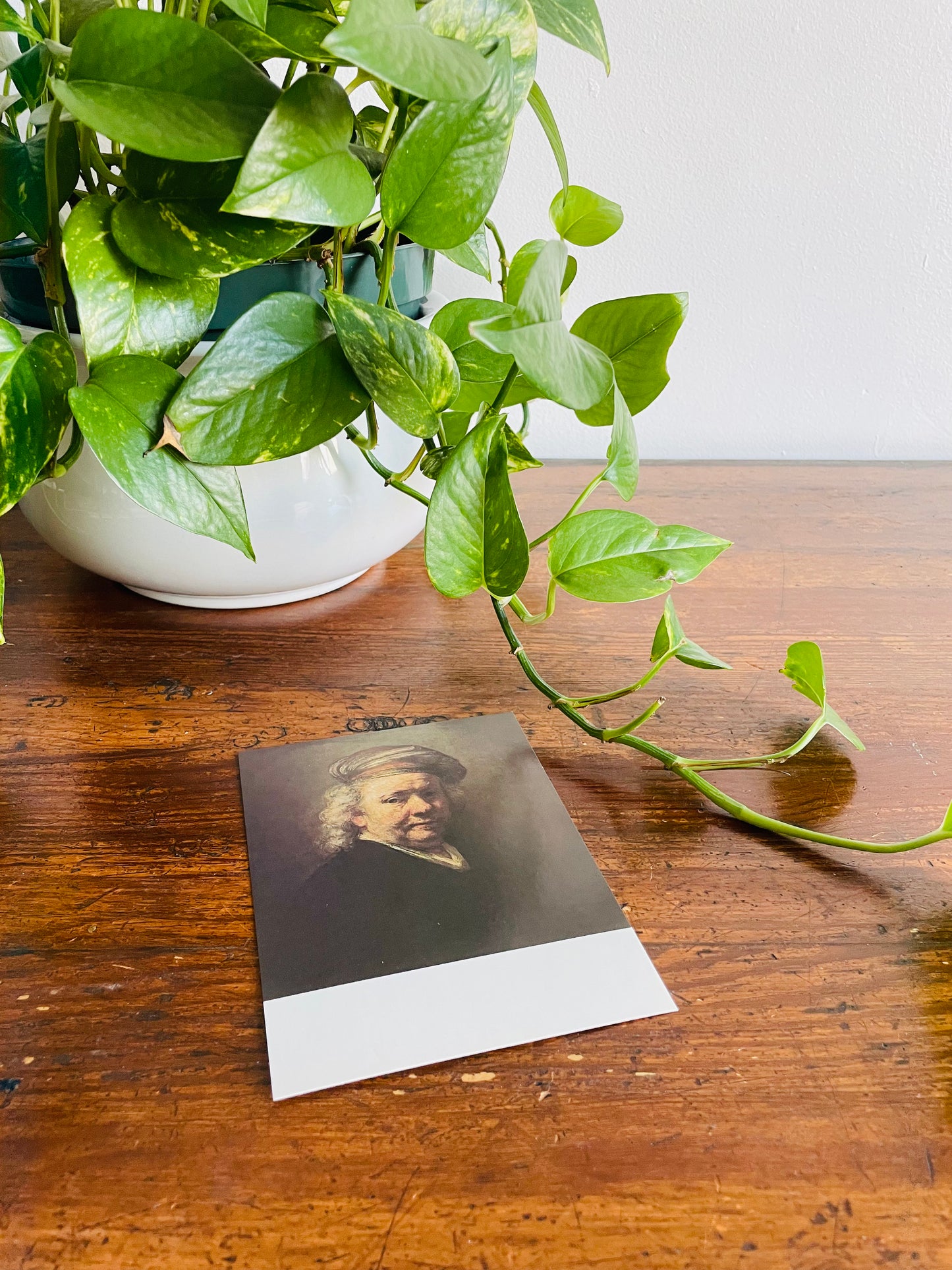 Rembrandt Self Portrait Postcard - 1982 Printed in England - 6" by 4"