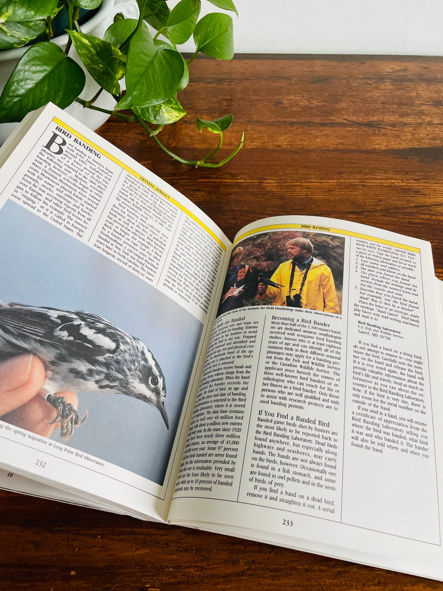 The Birder's Catalogue: The Sourcebook for Birding Paraphernalia (1989)