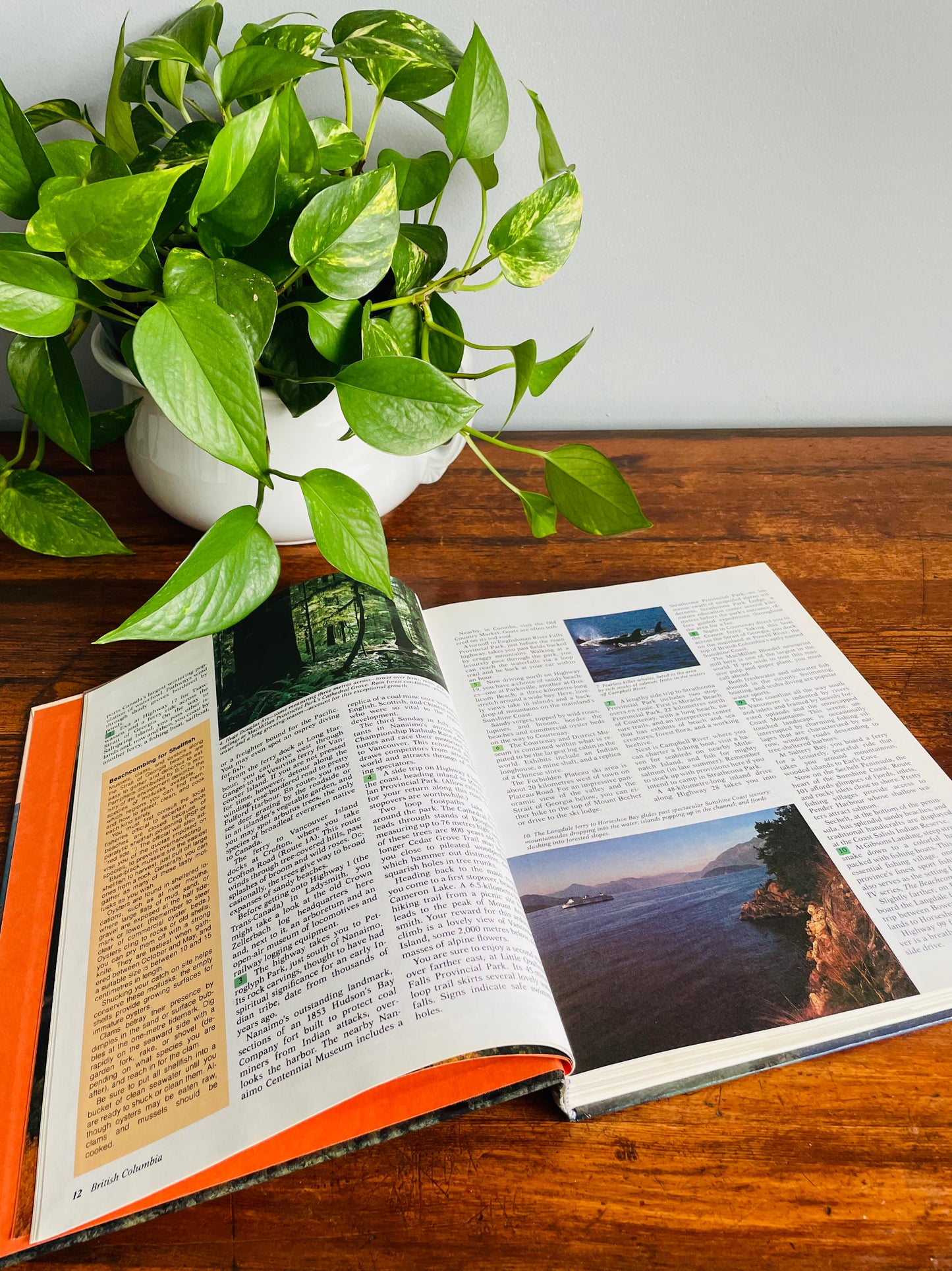 CAA Handpicked Tours of North America Hardcover Book (1984)