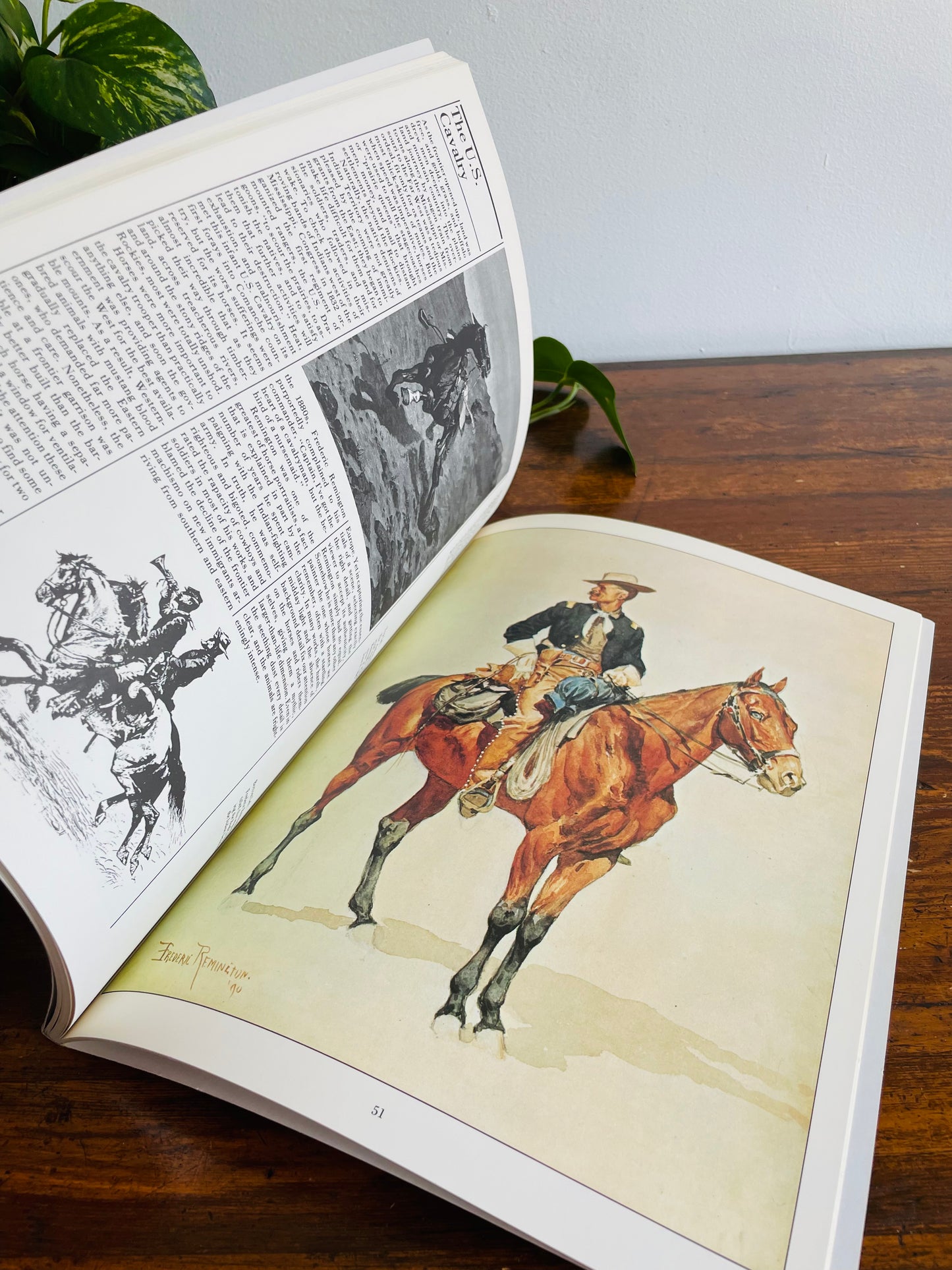 The Illustrated Horse Book by Jean-Claude Suares & Charles Stephen (1979)