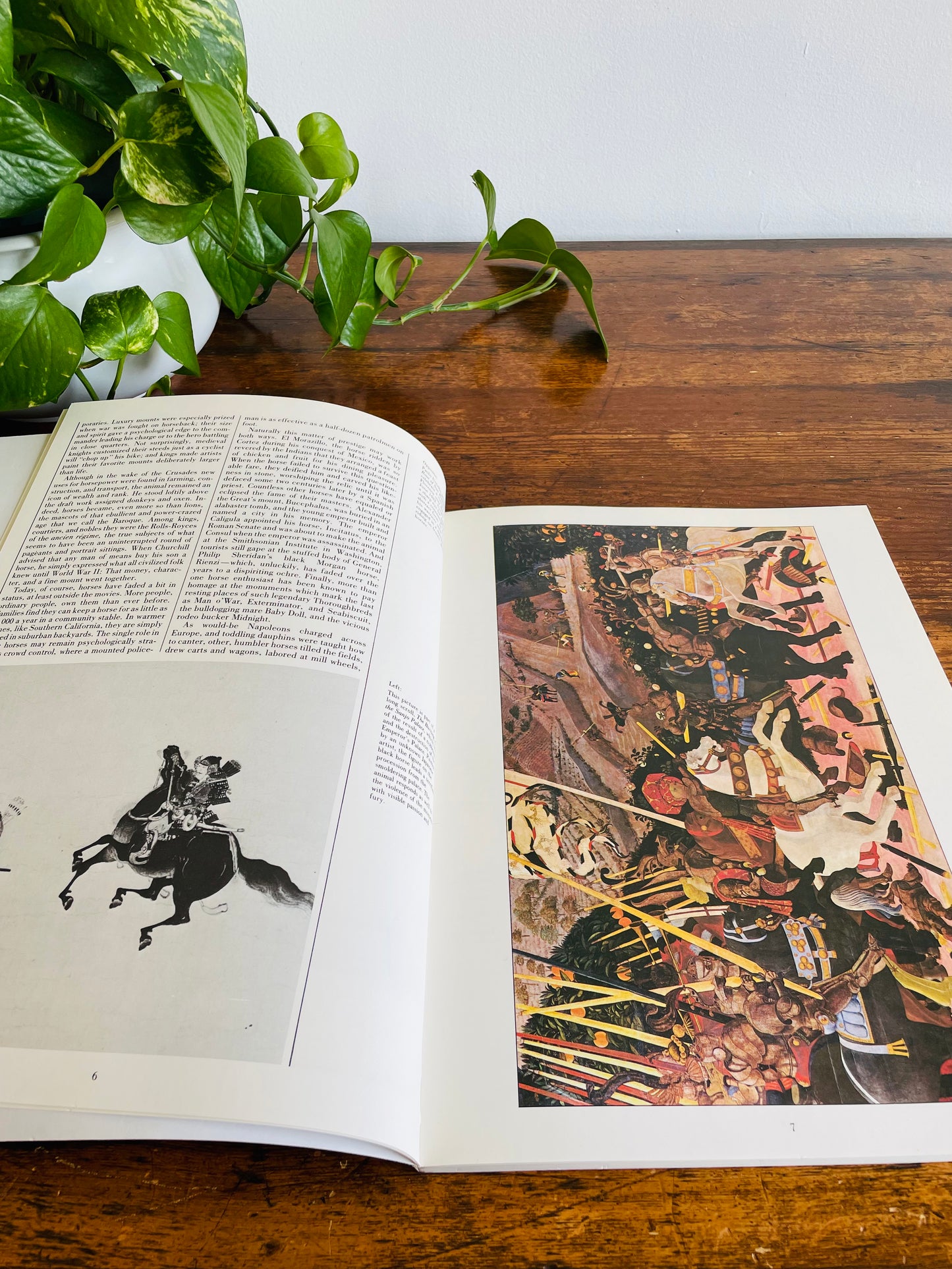 The Illustrated Horse Book by Jean-Claude Suares & Charles Stephen (1979)