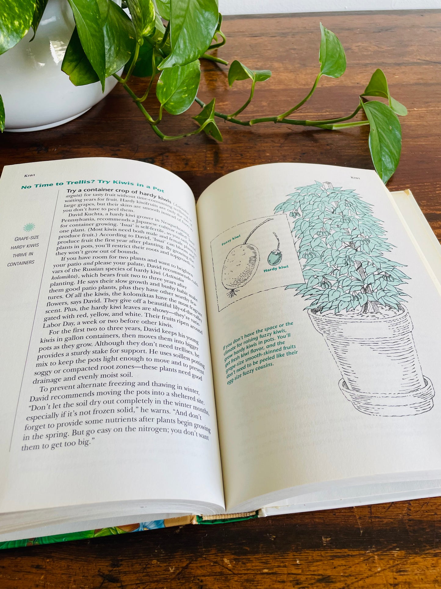 Great Garden Shortcuts by Rodale Press Hardcover Book (1996)