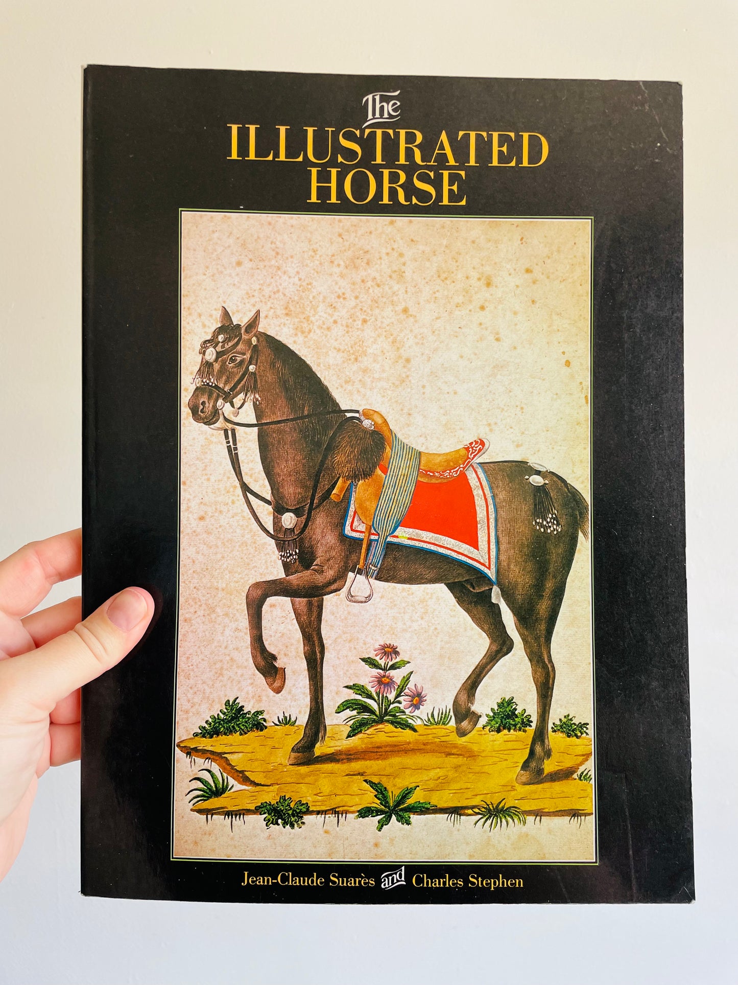 The Illustrated Horse Book by Jean-Claude Suares & Charles Stephen (1979)