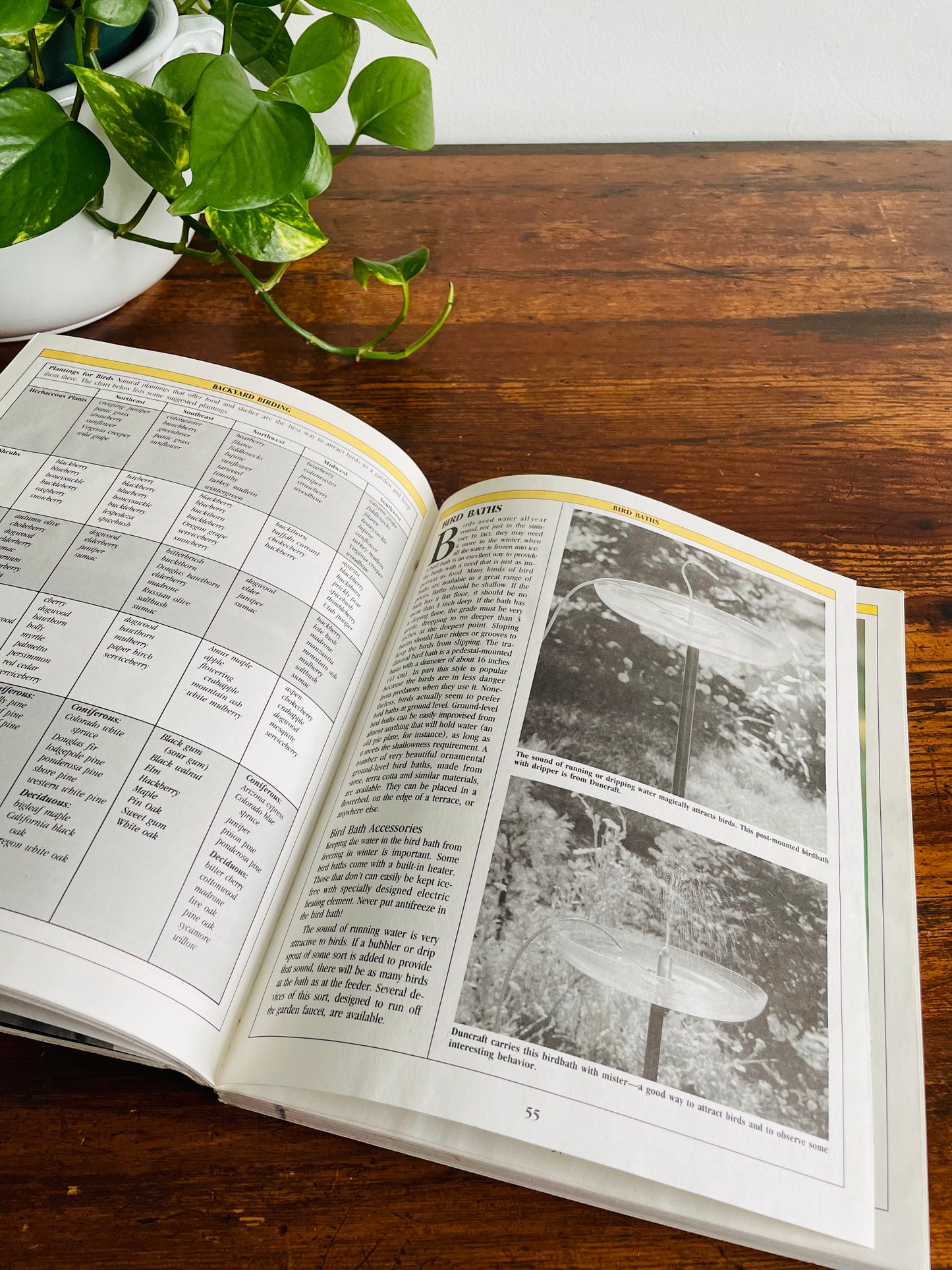 The Birder's Catalogue: The Sourcebook for Birding Paraphernalia (1989)