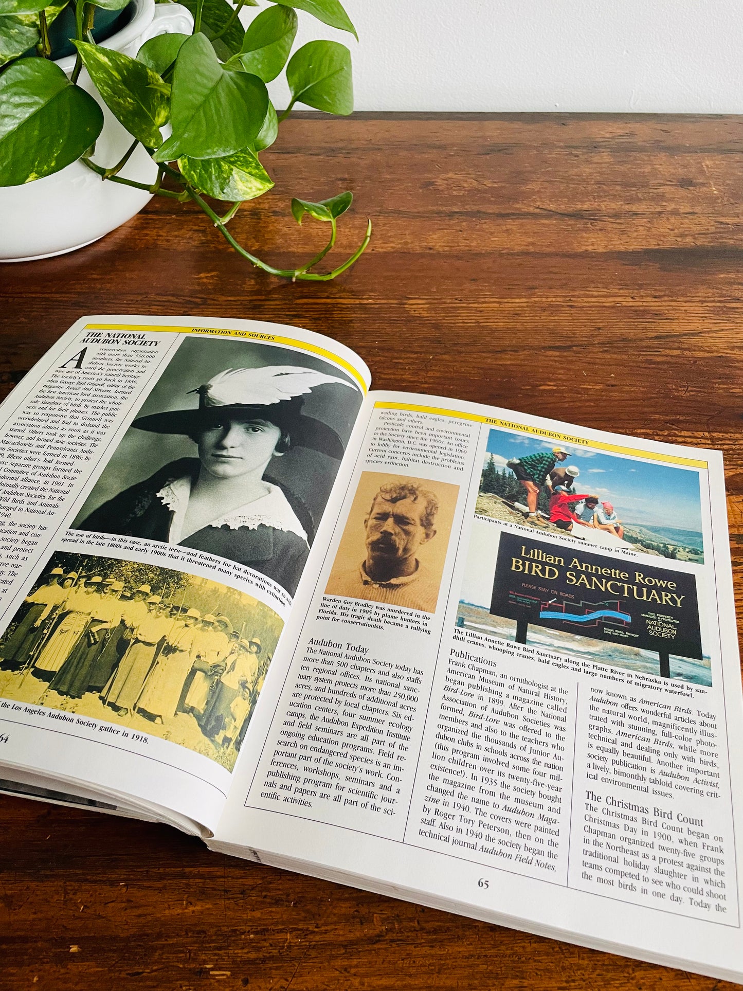 The Birder's Catalogue: The Sourcebook for Birding Paraphernalia (1989)