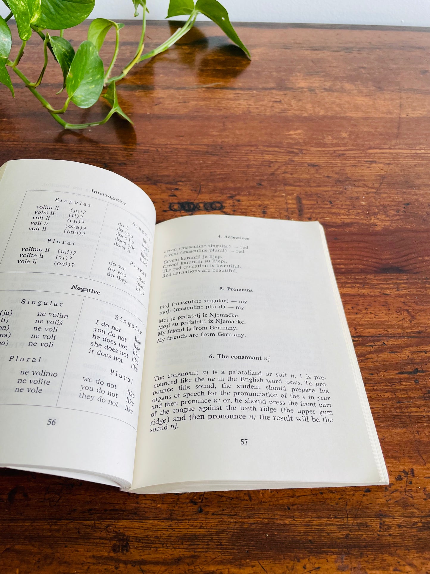 Mladen Engelsfeld Croatian Through Conversation & Phrase Book for Tourists (1969)