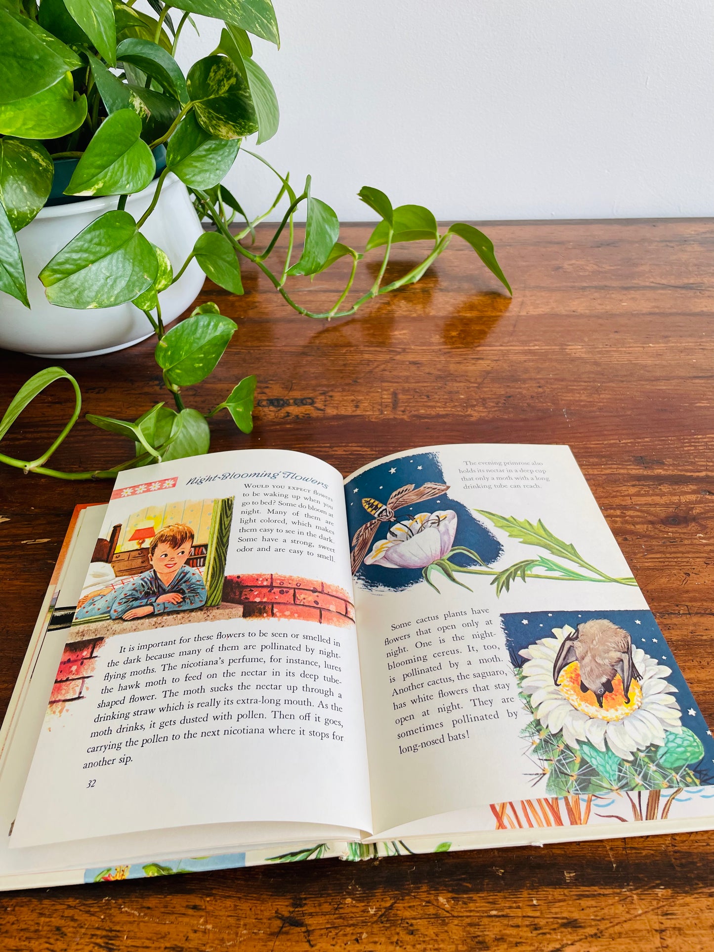 Flowers and What They Are by Mary Elting - A Whitman Learn About Book - Hardcover (1961)